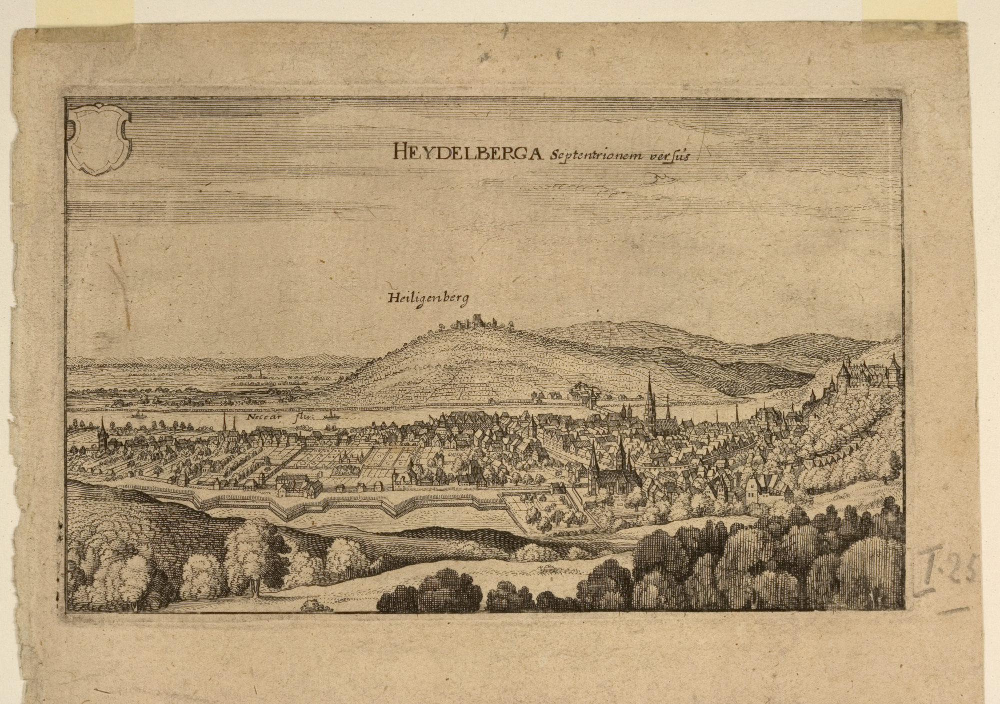 Stadtansicht von Süden mit Heiligenberg (Quelle: Bildindex der Kunst und Architektur)