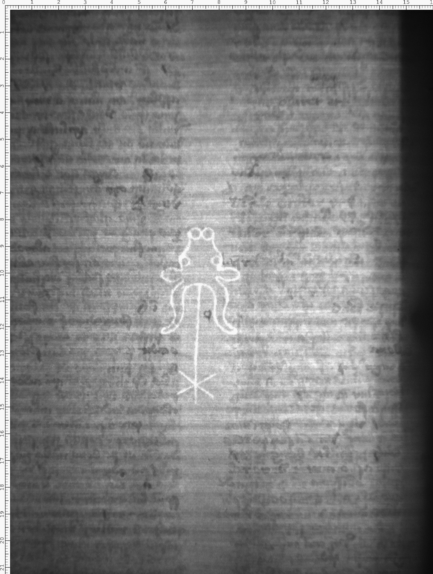 Watermark