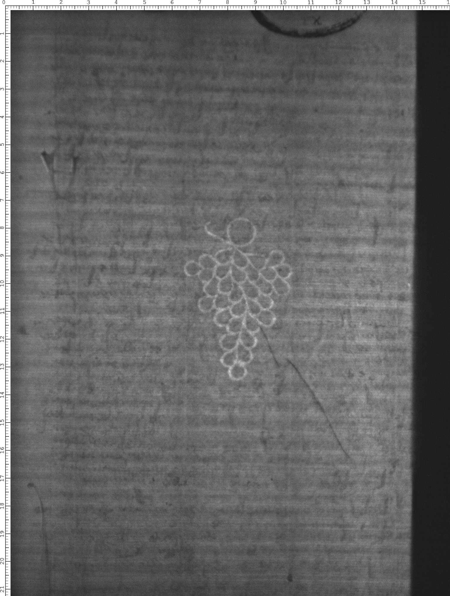 Watermark
