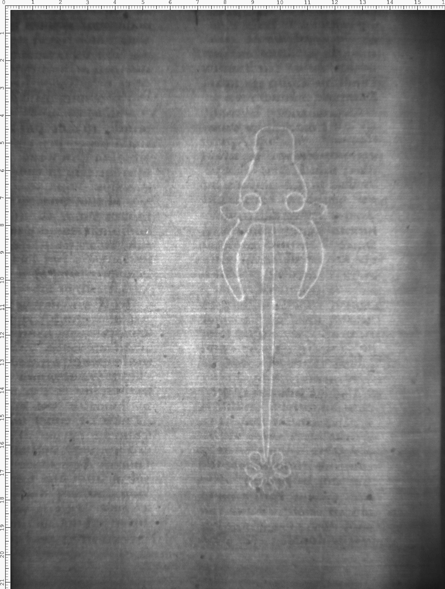 Watermark
