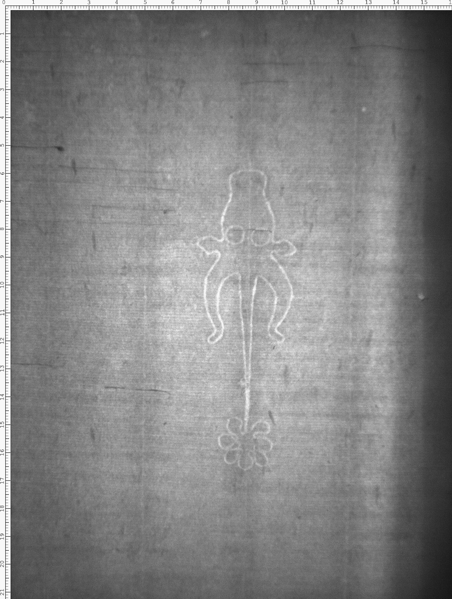 Watermark