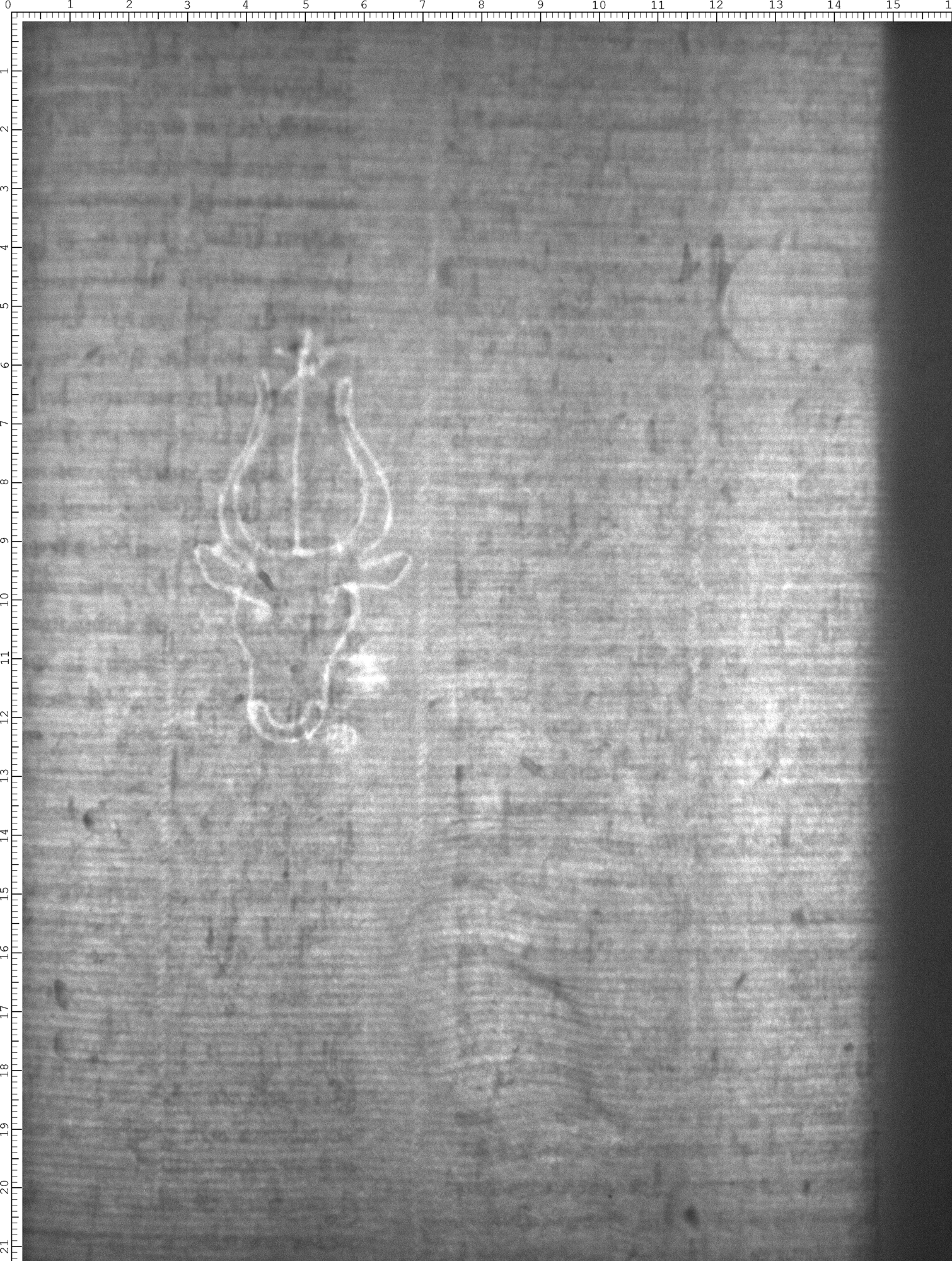 Watermark