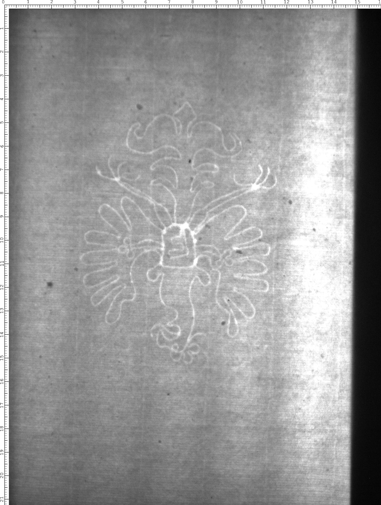 Watermark