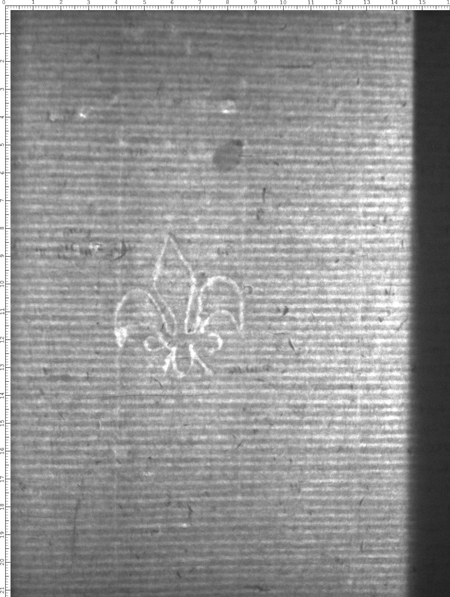 Watermark
