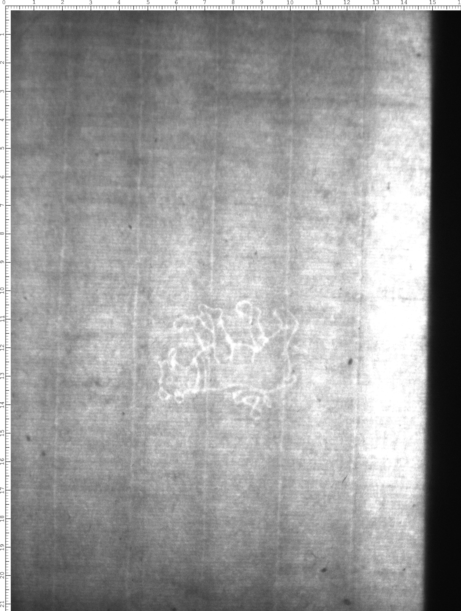 Watermark