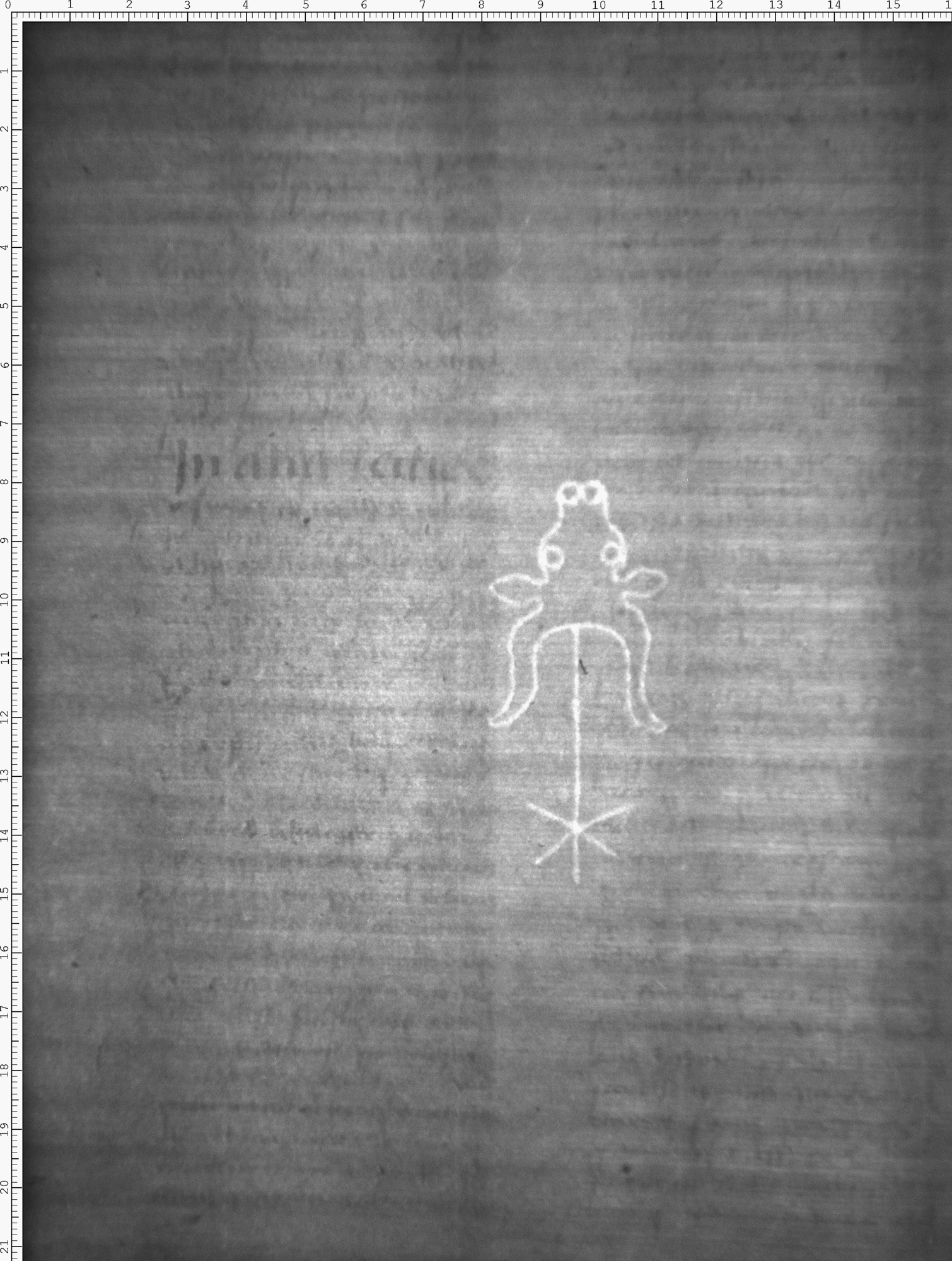 Watermark