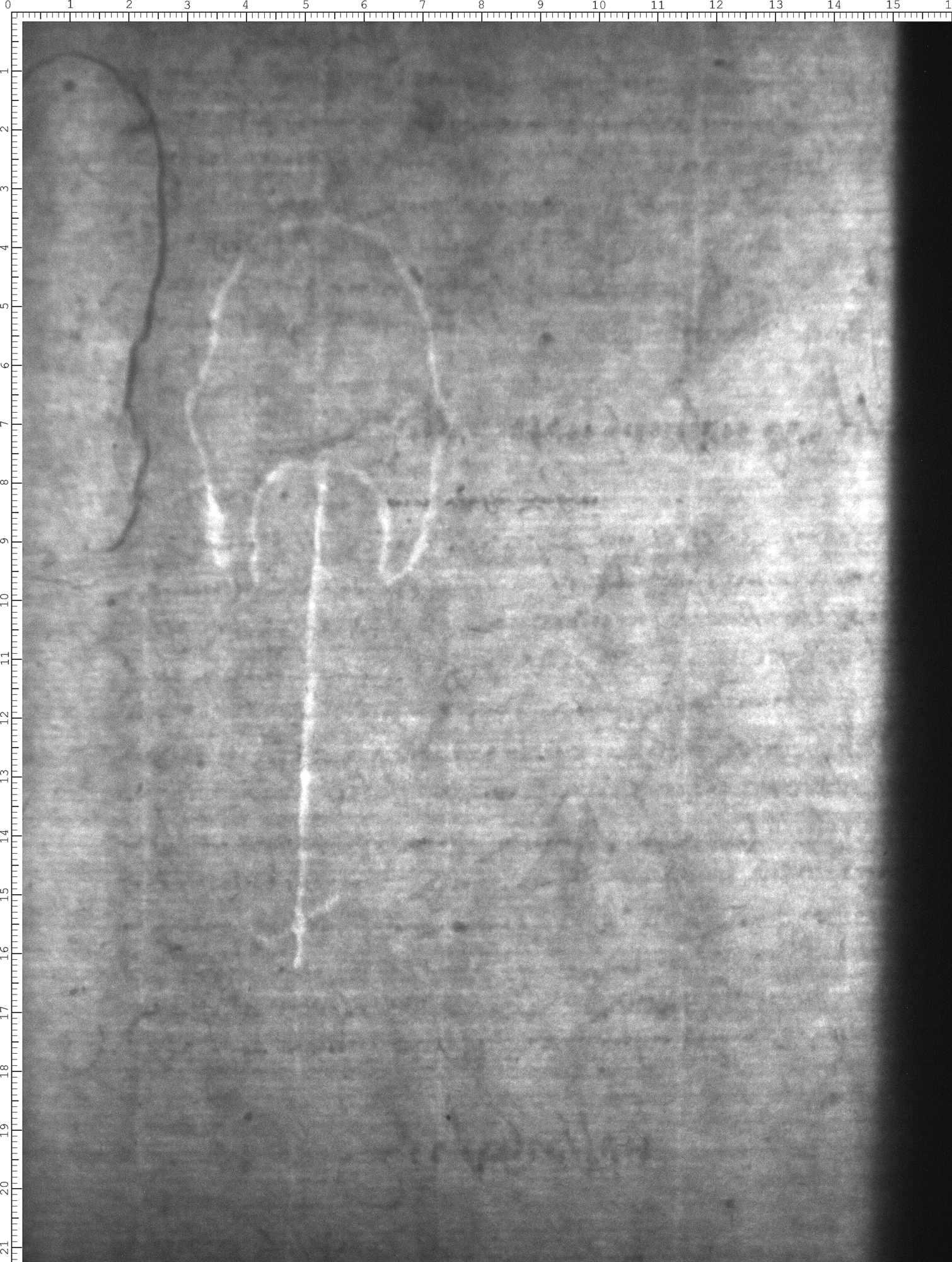 Watermark