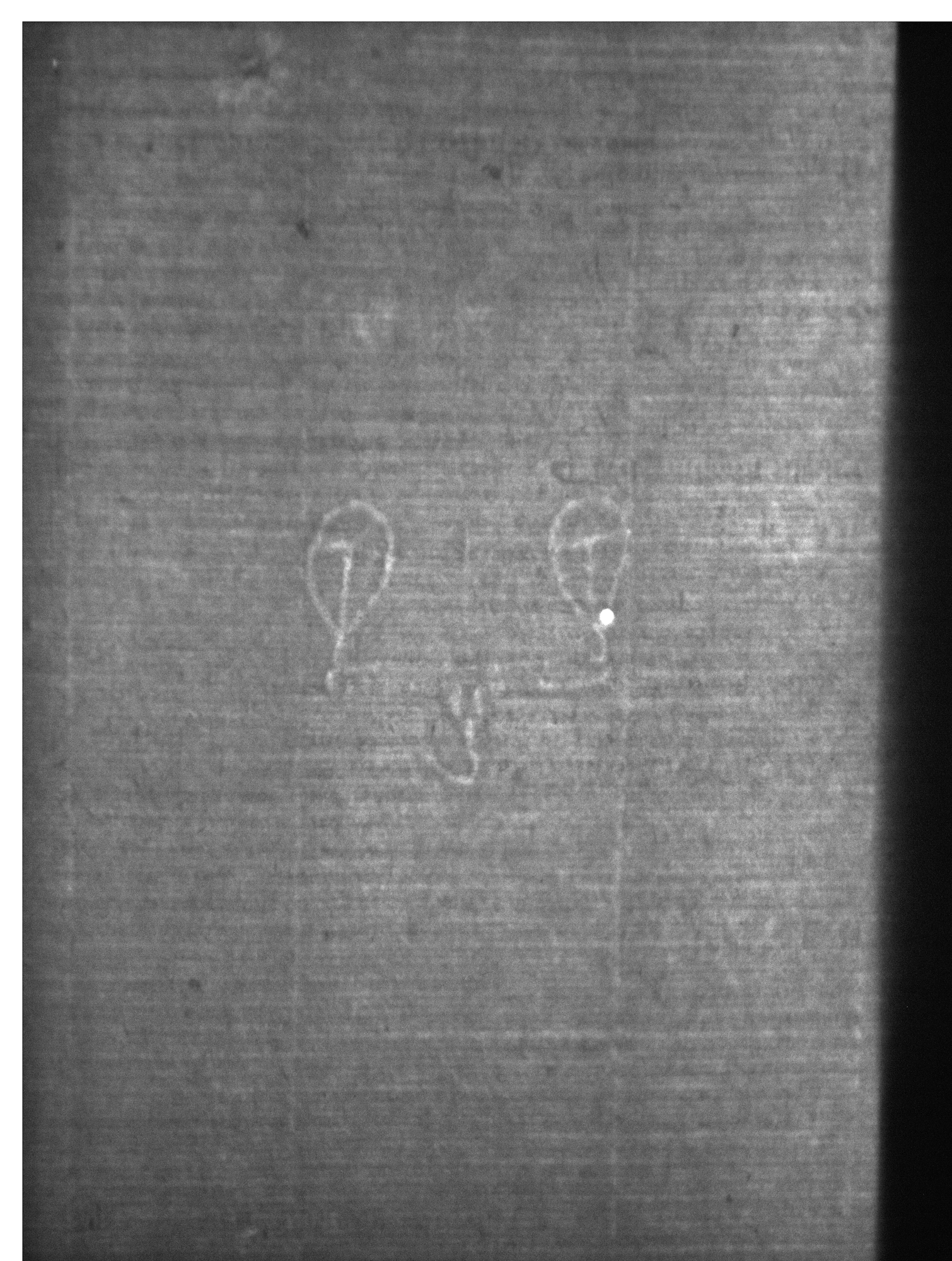 Watermark