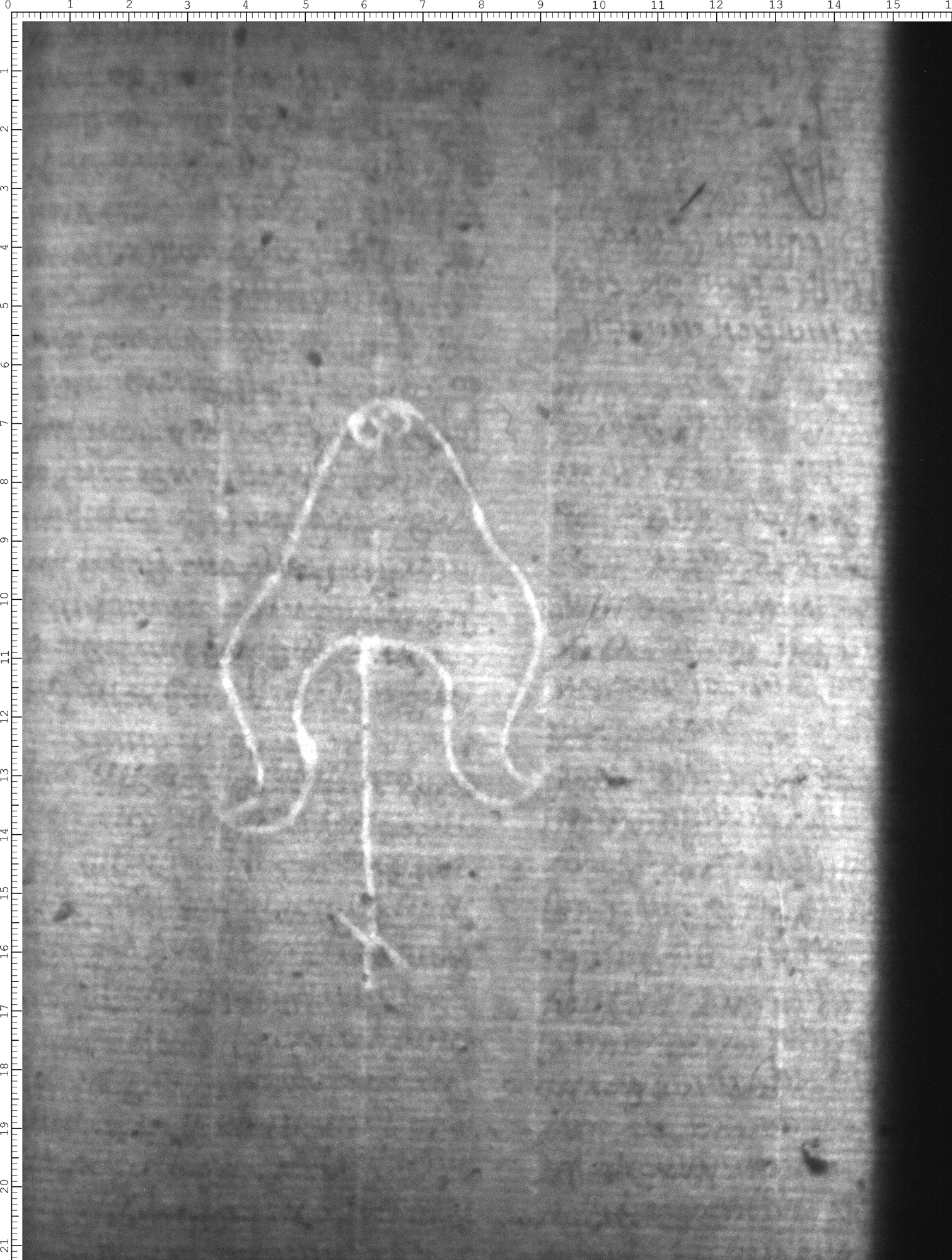 Watermark