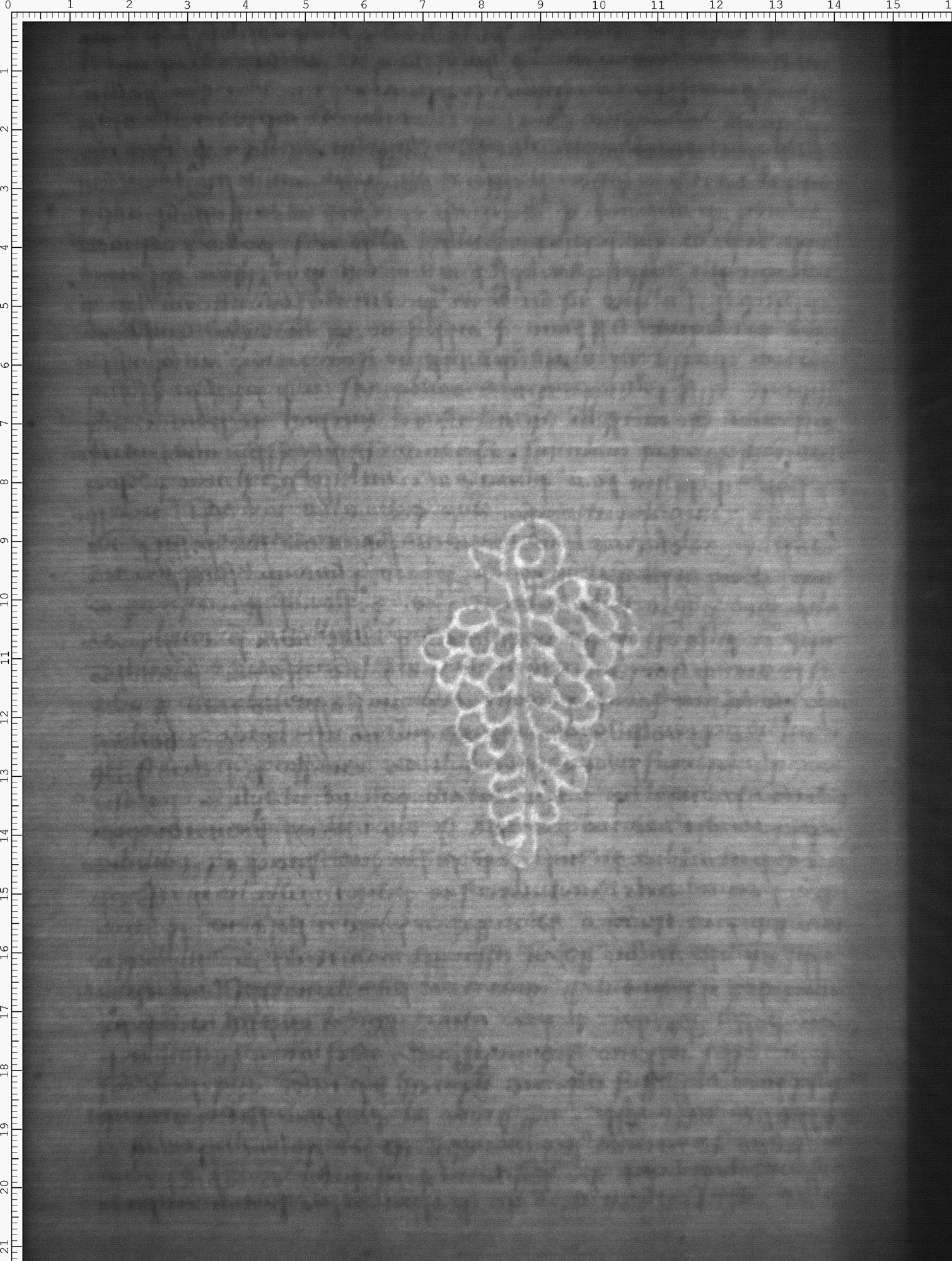 Watermark
