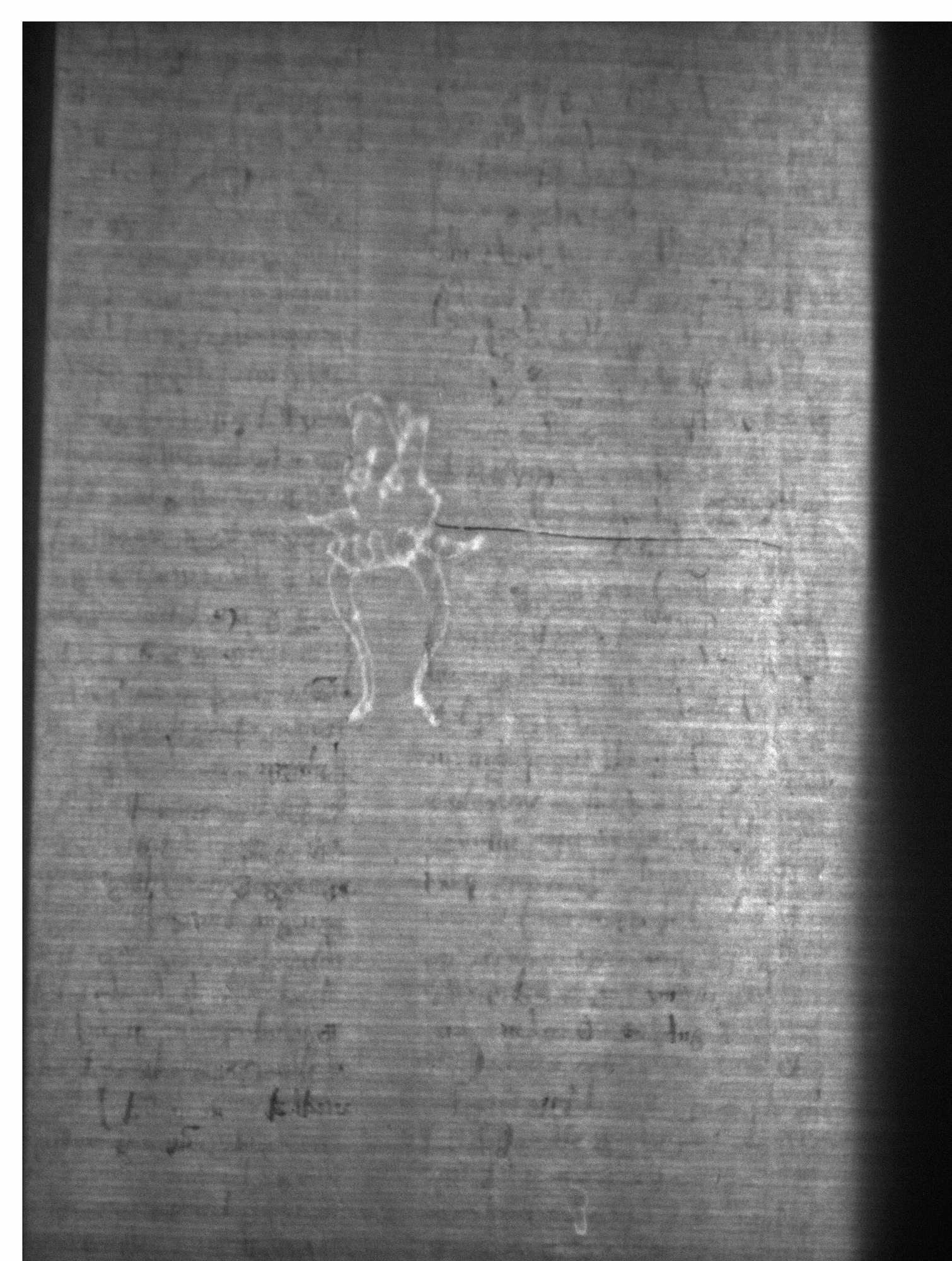 Watermark