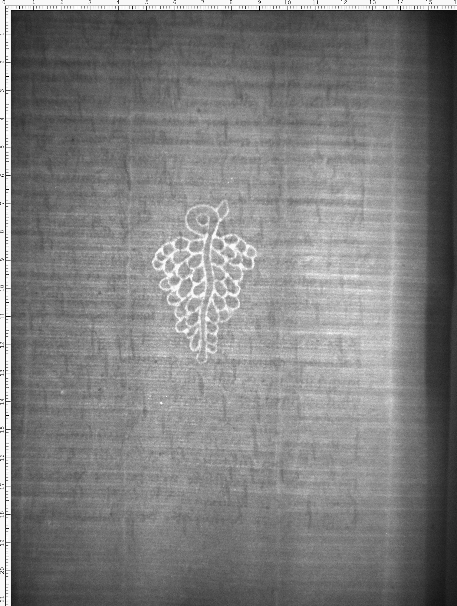 Watermark