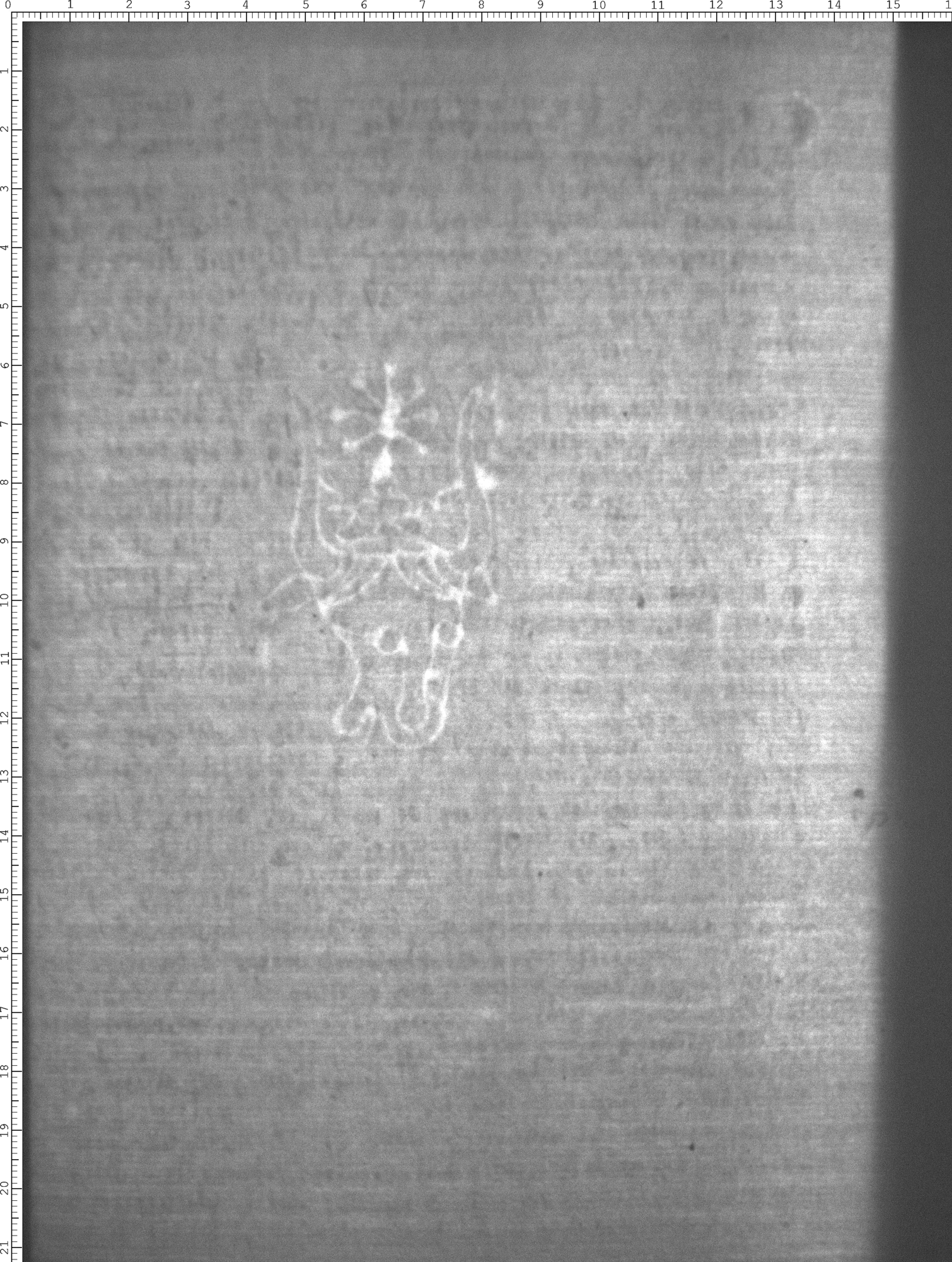 Watermark