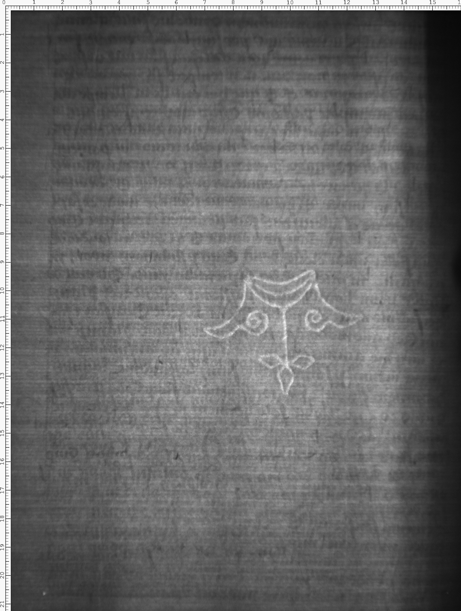Watermark