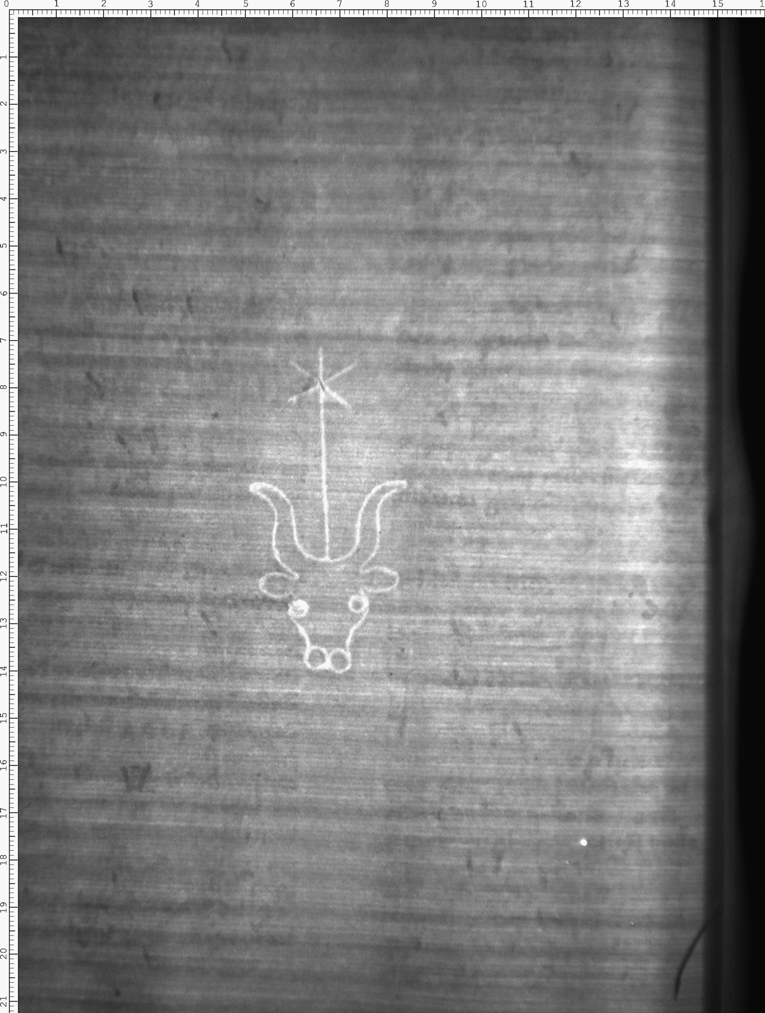 Watermark