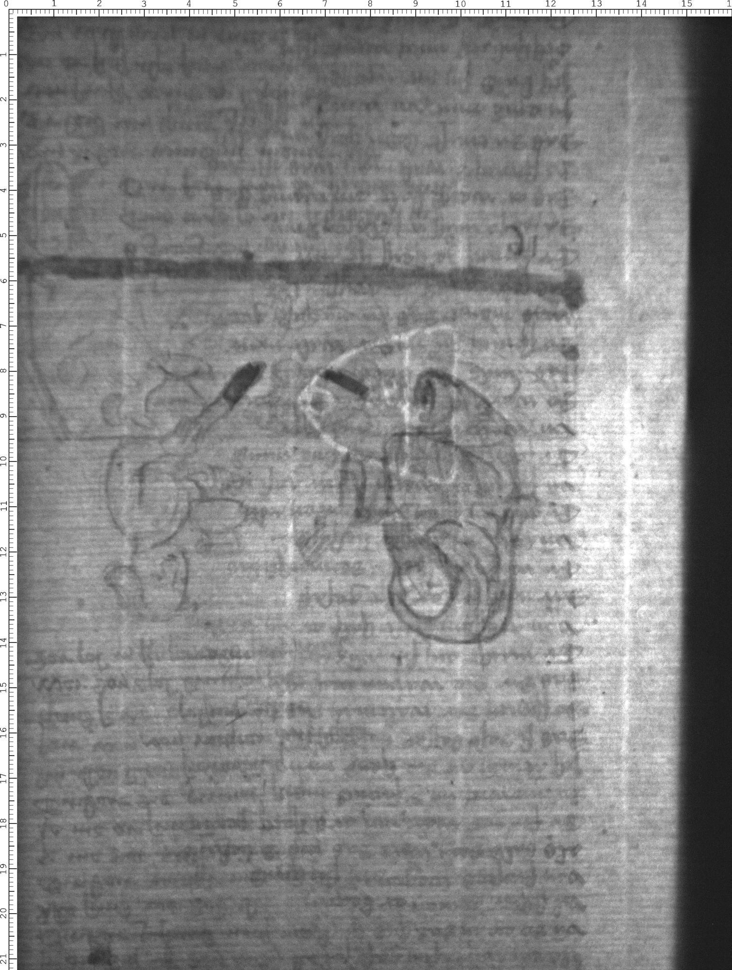 Watermark