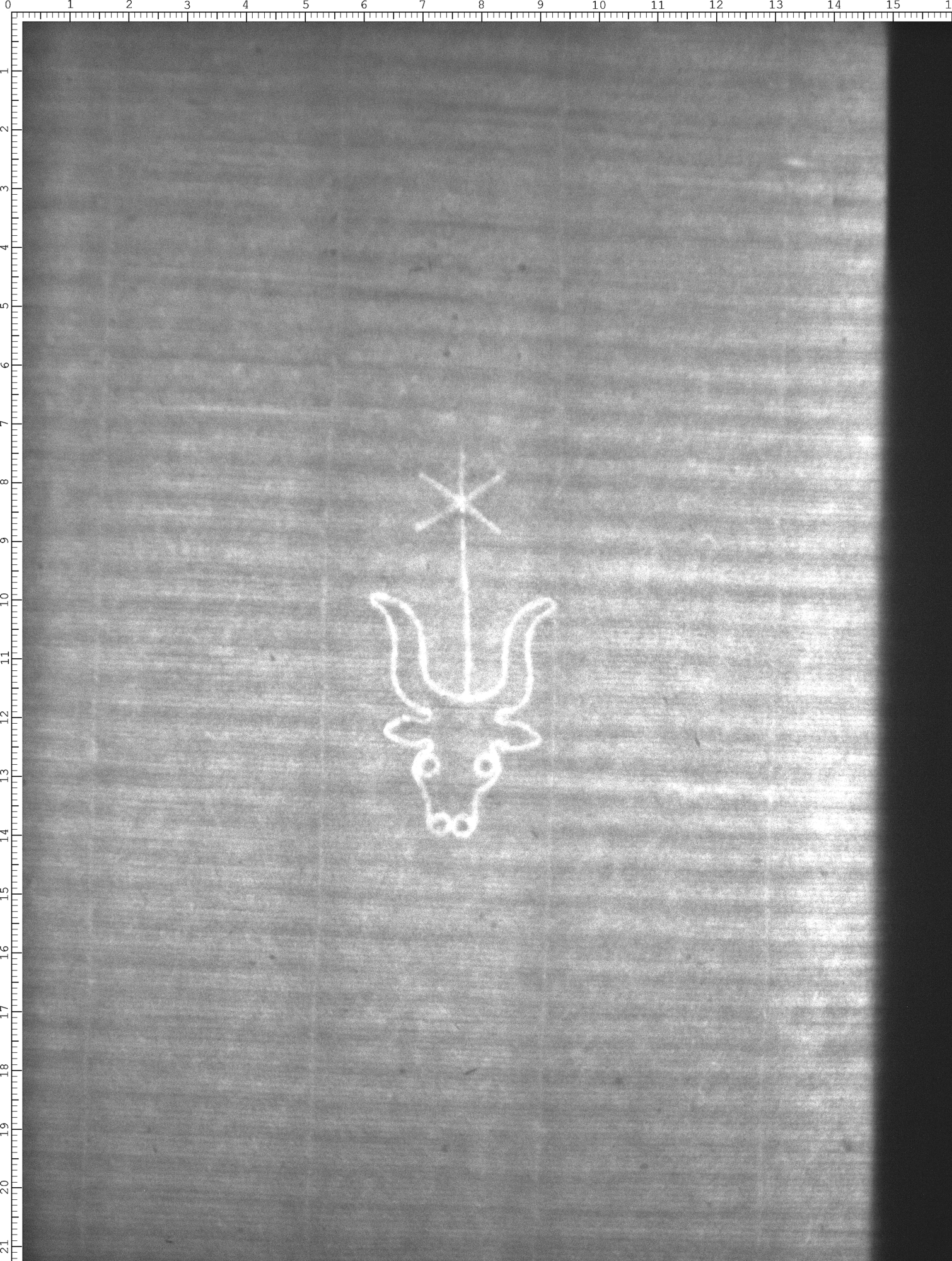 Watermark