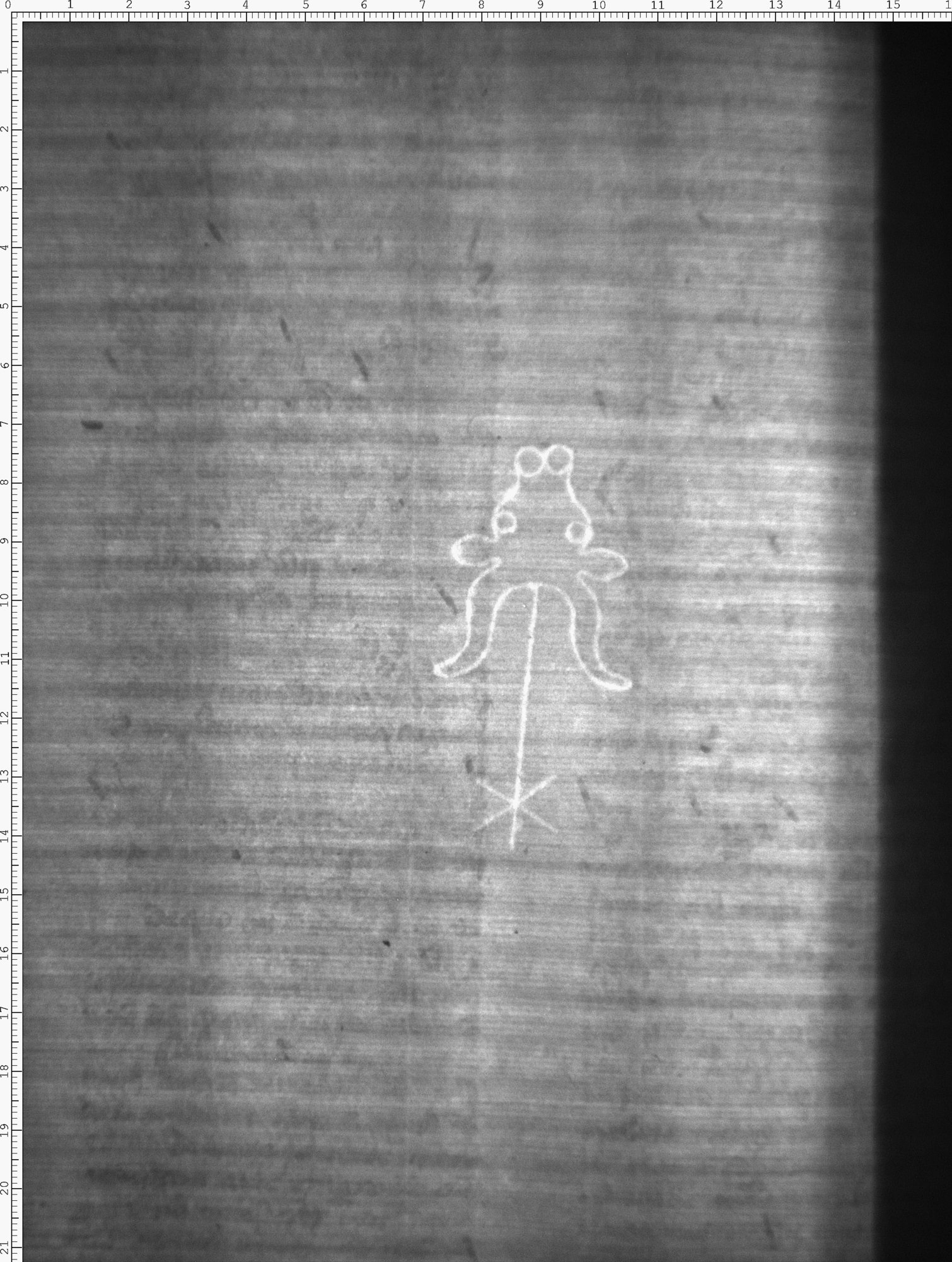 Watermark