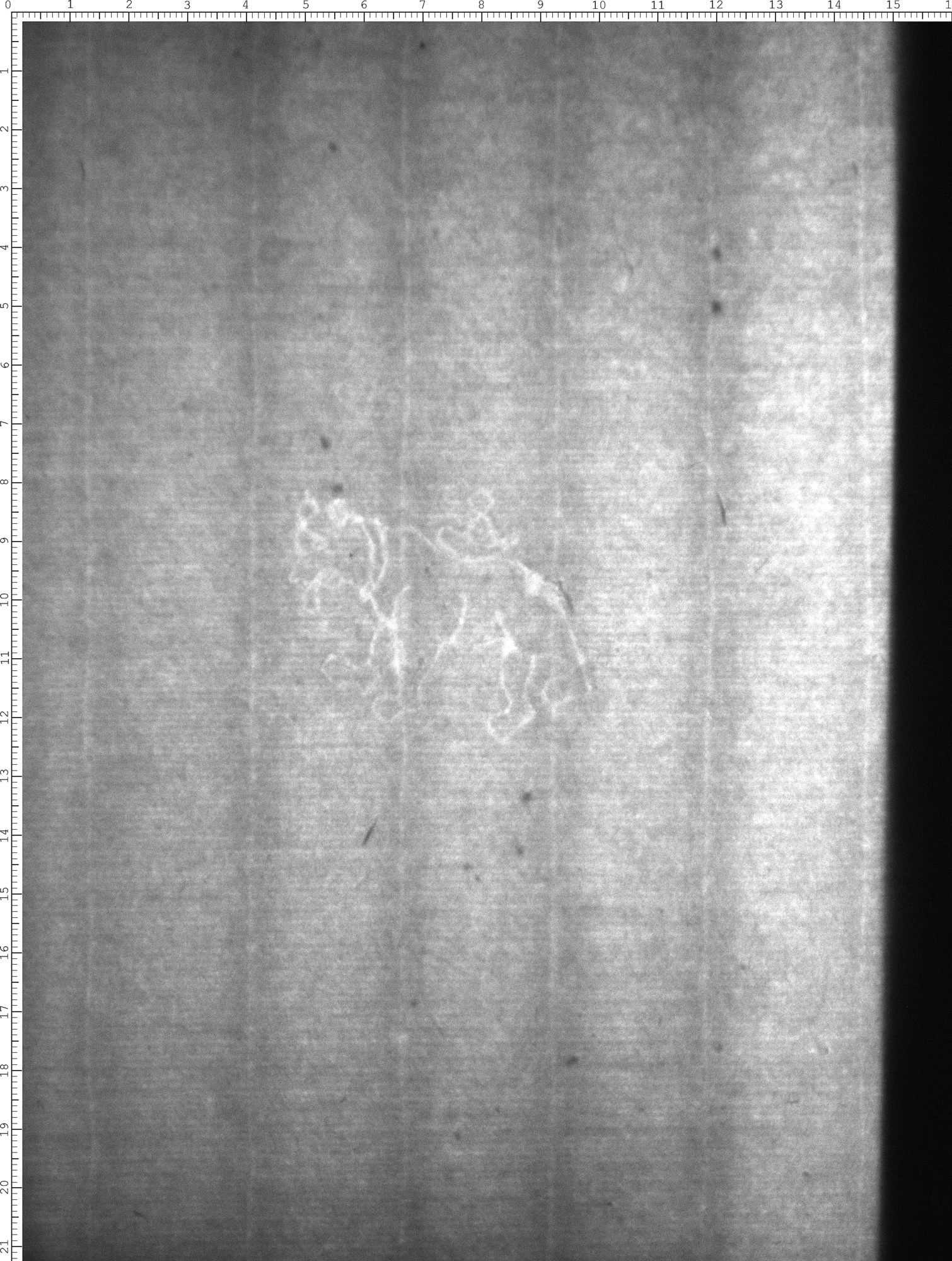 Watermark