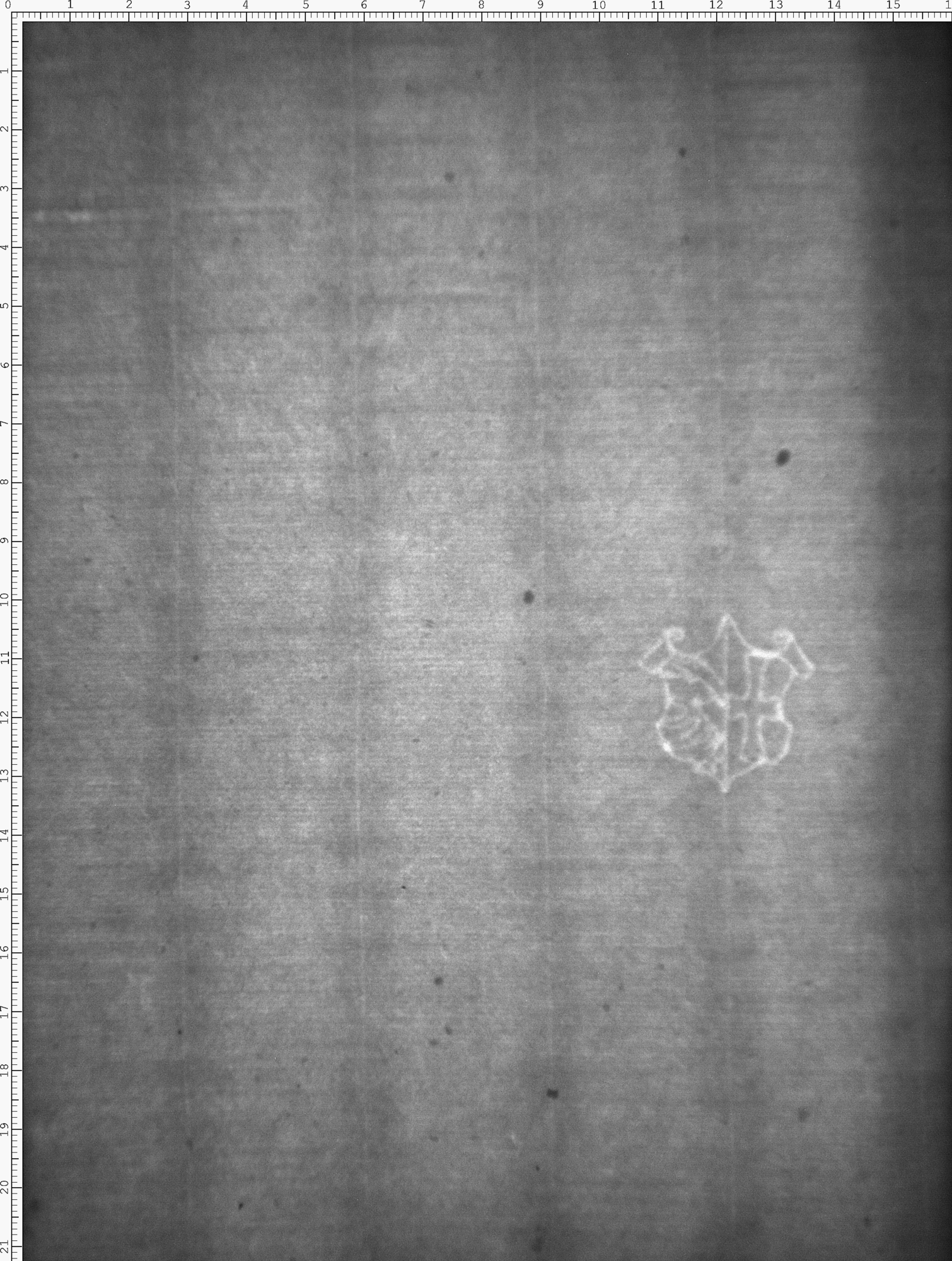 Watermark