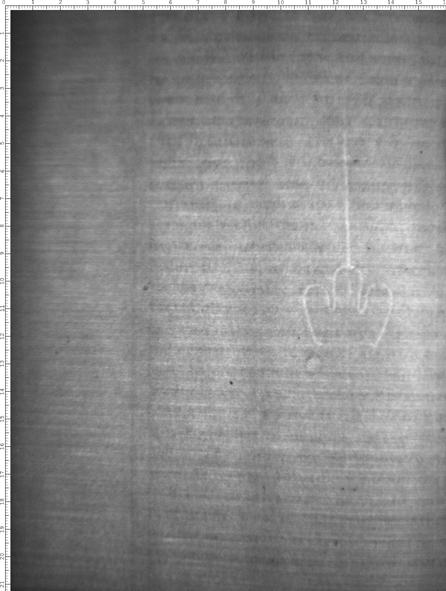 Watermark