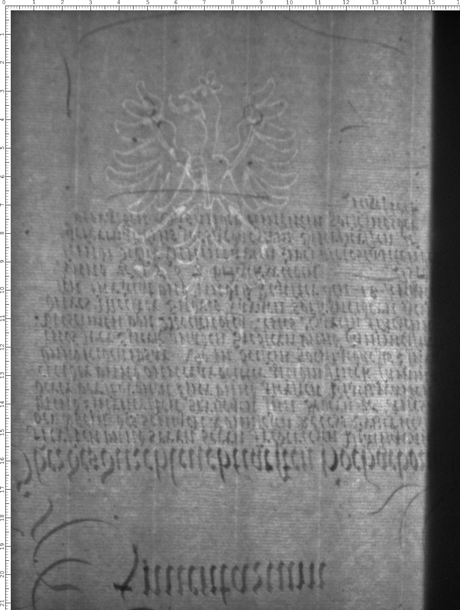 Watermark
