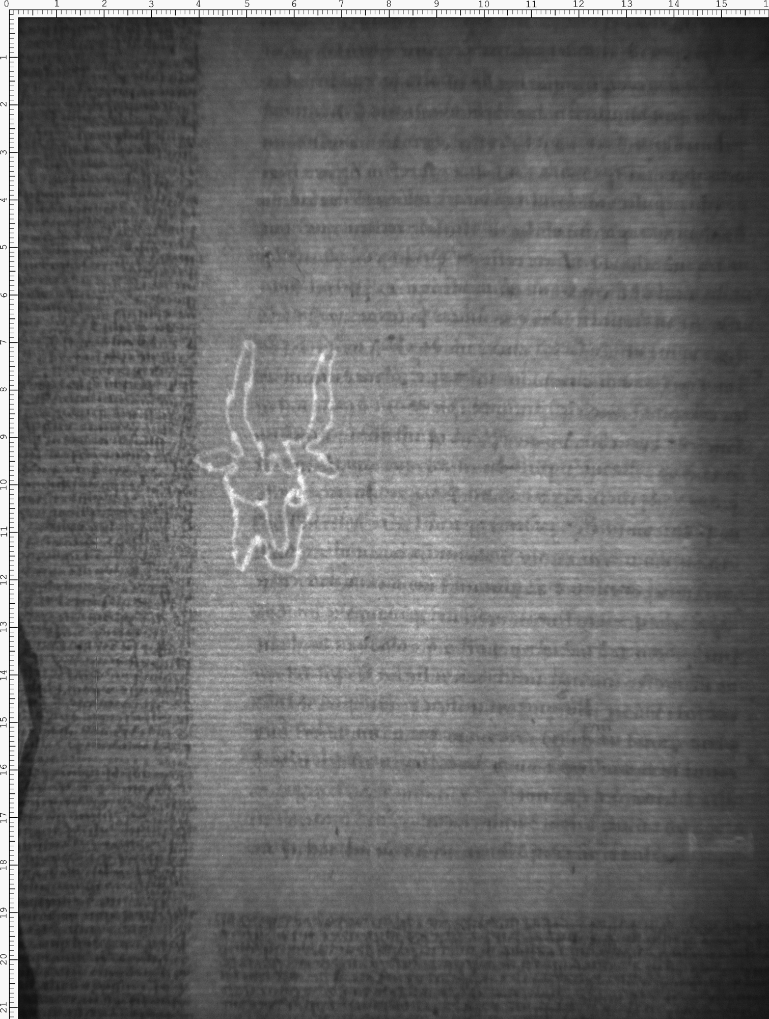 Watermark