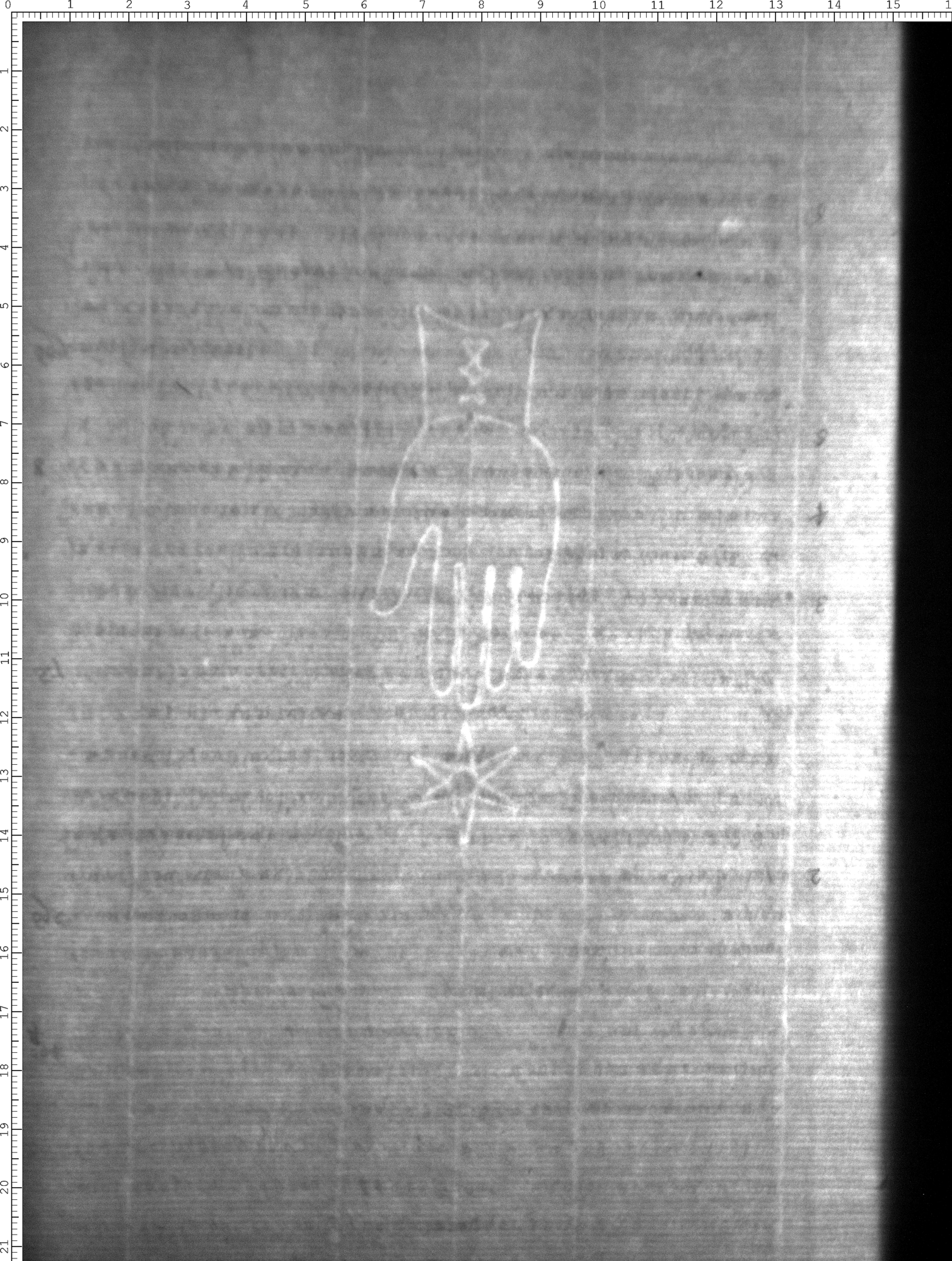 Watermark