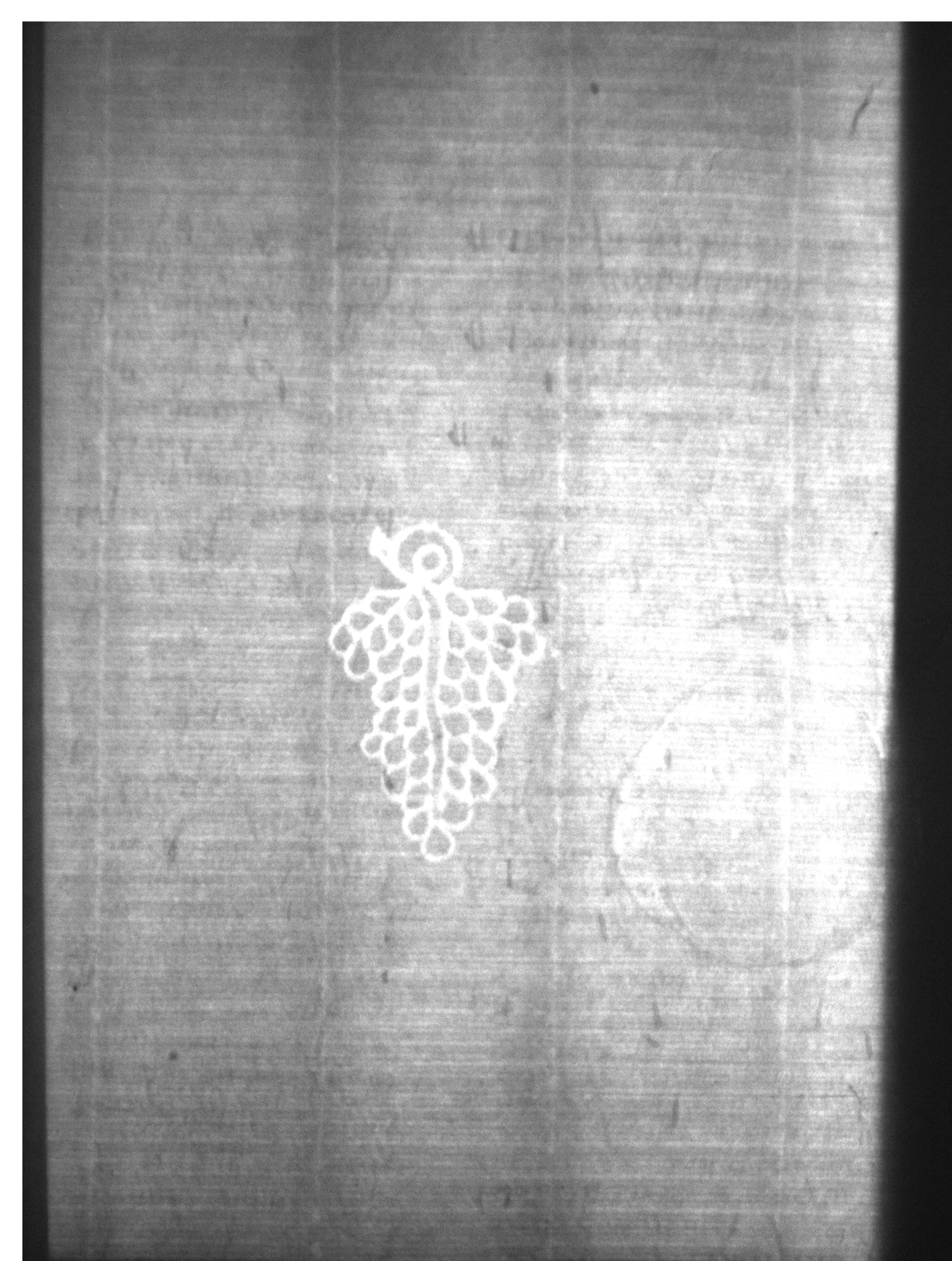 Watermark
