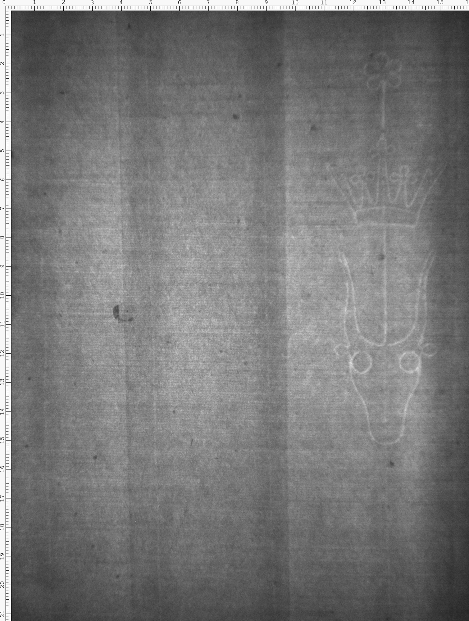 Watermark
