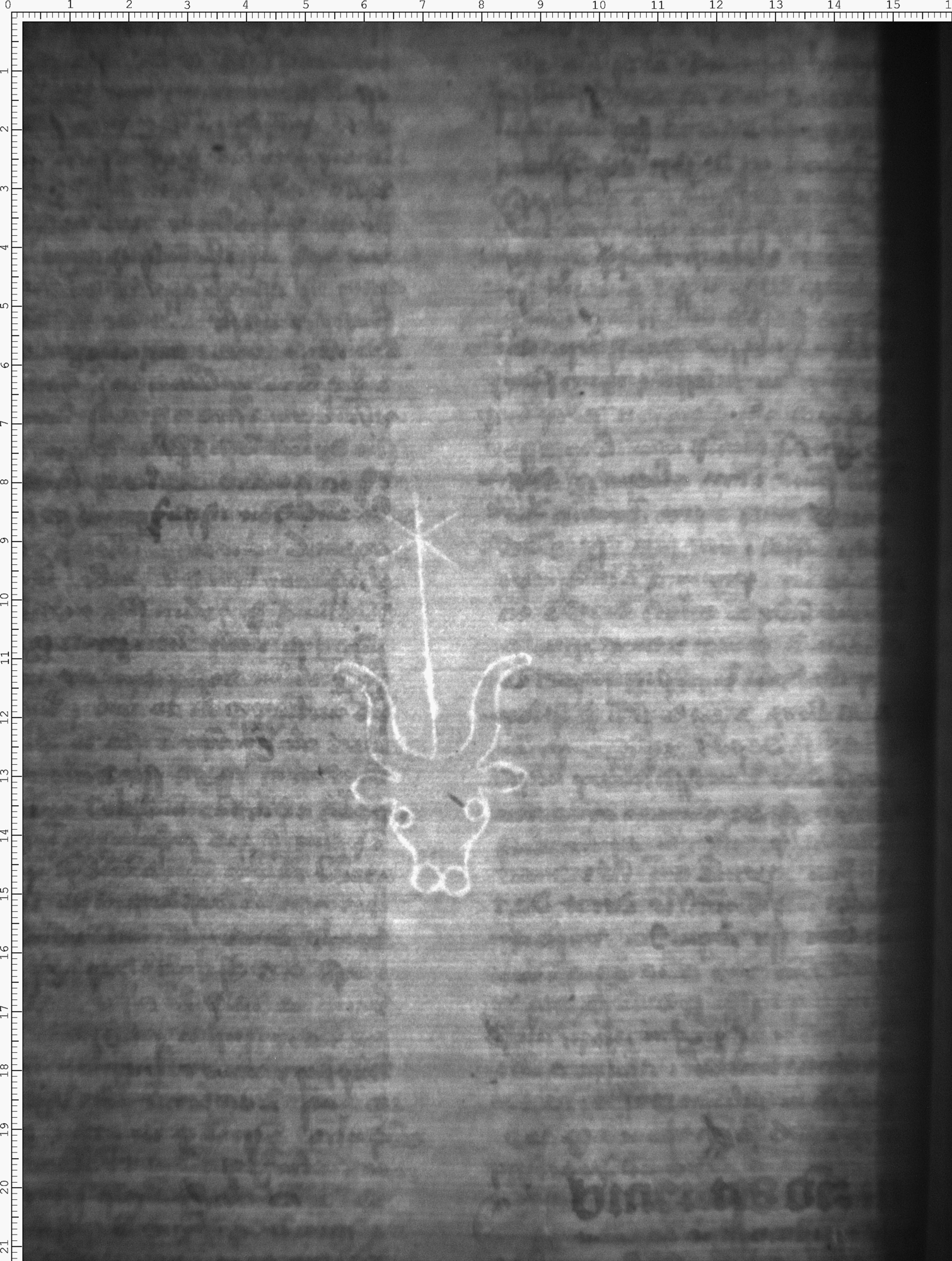 Watermark