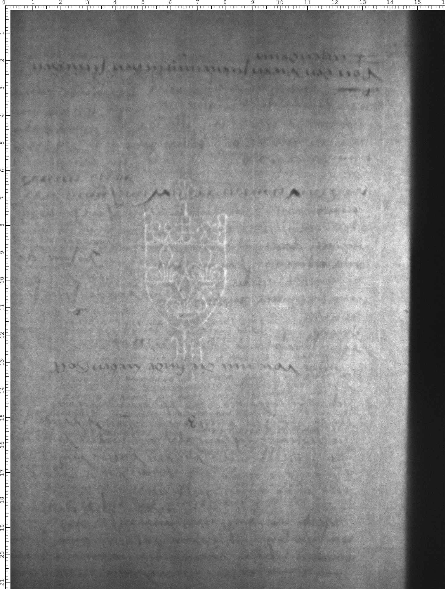 Watermark