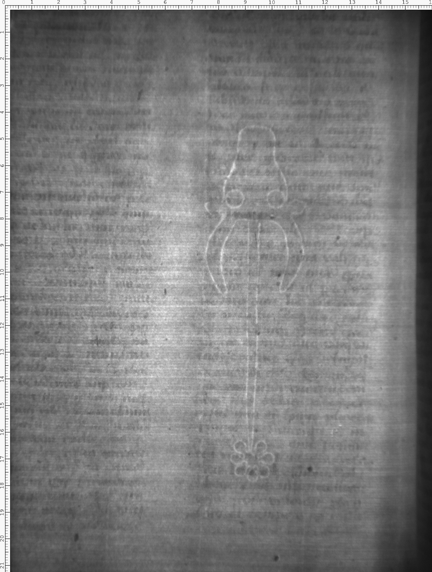 Watermark