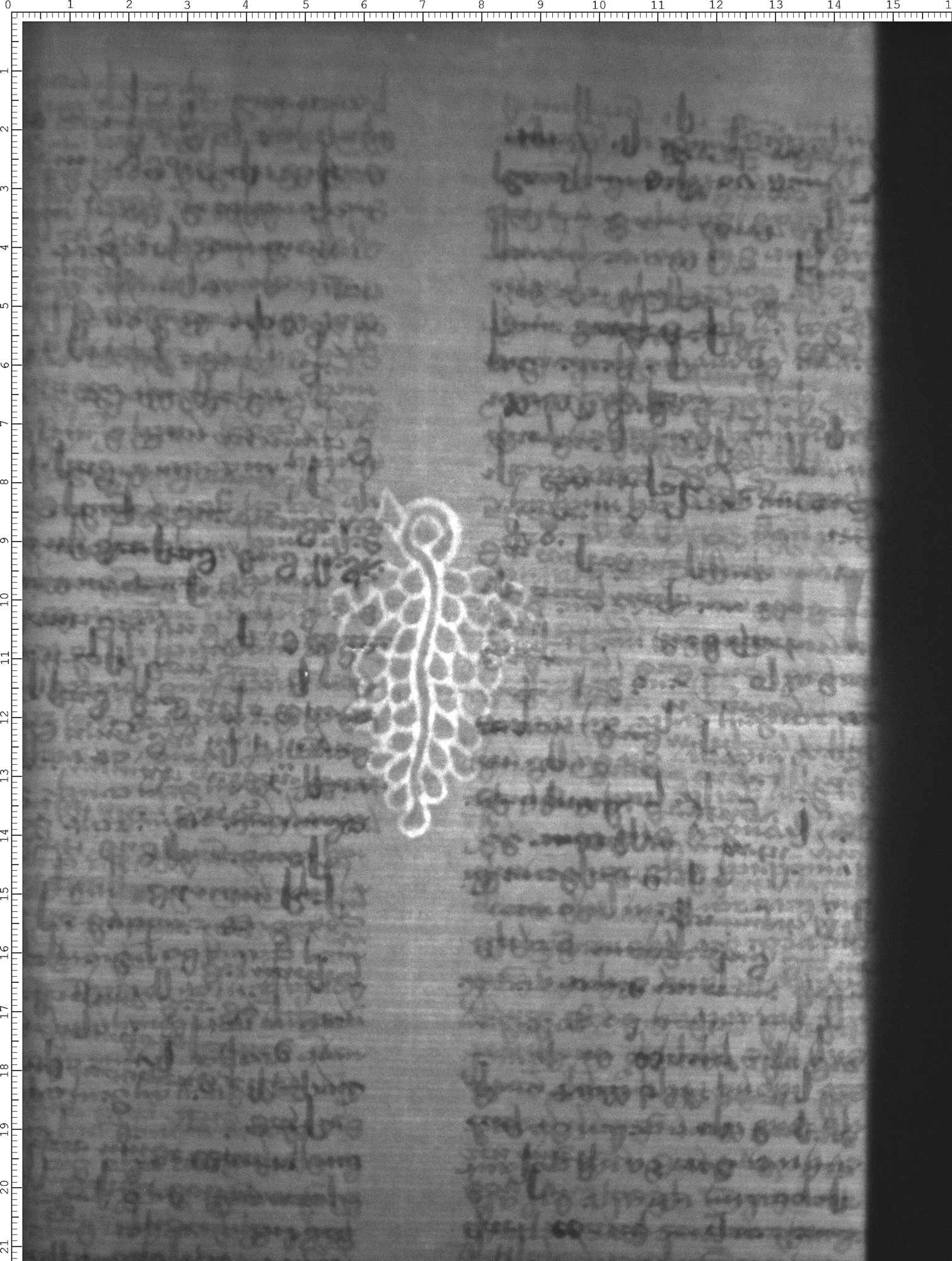 Watermark
