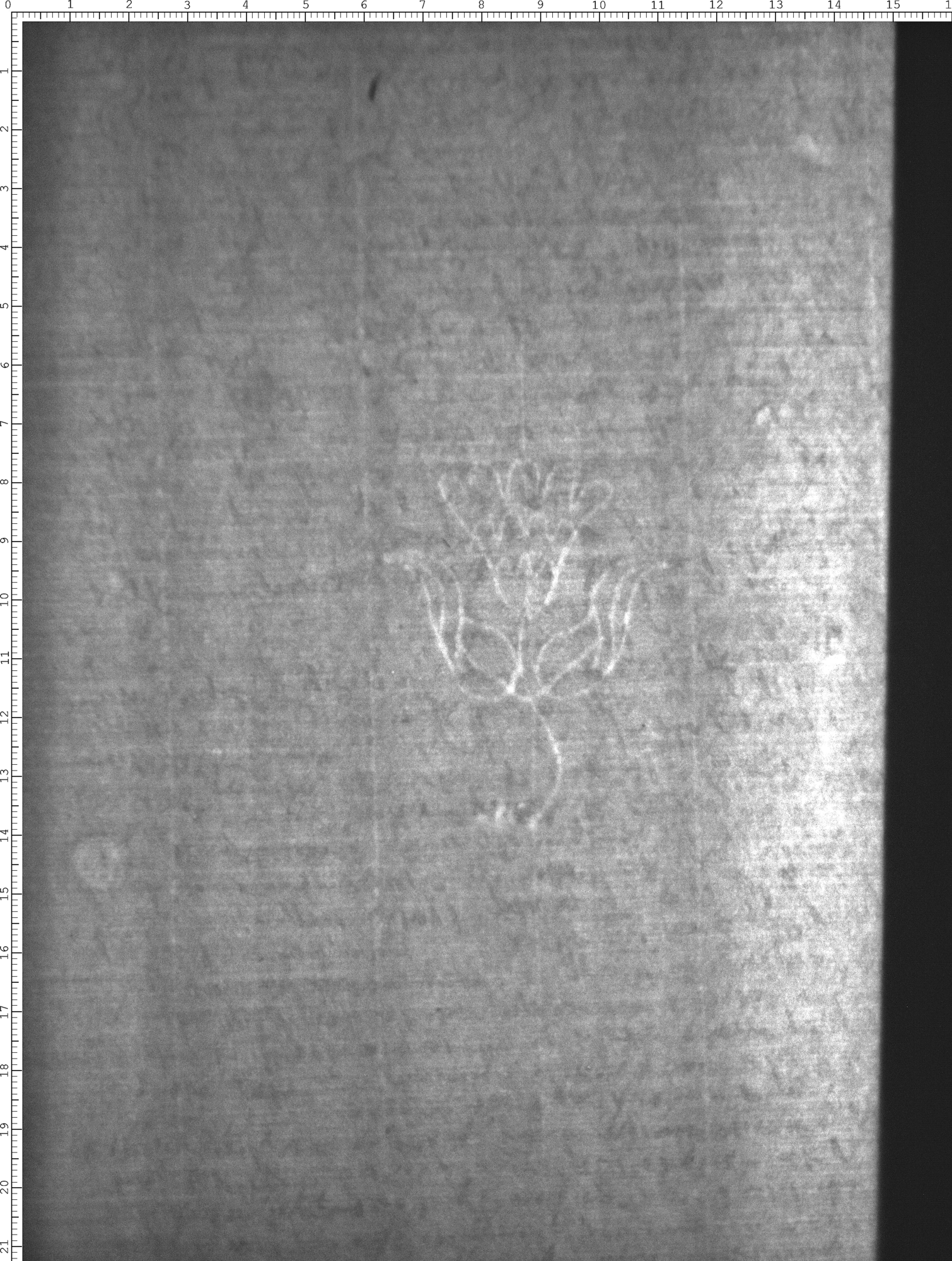 Watermark