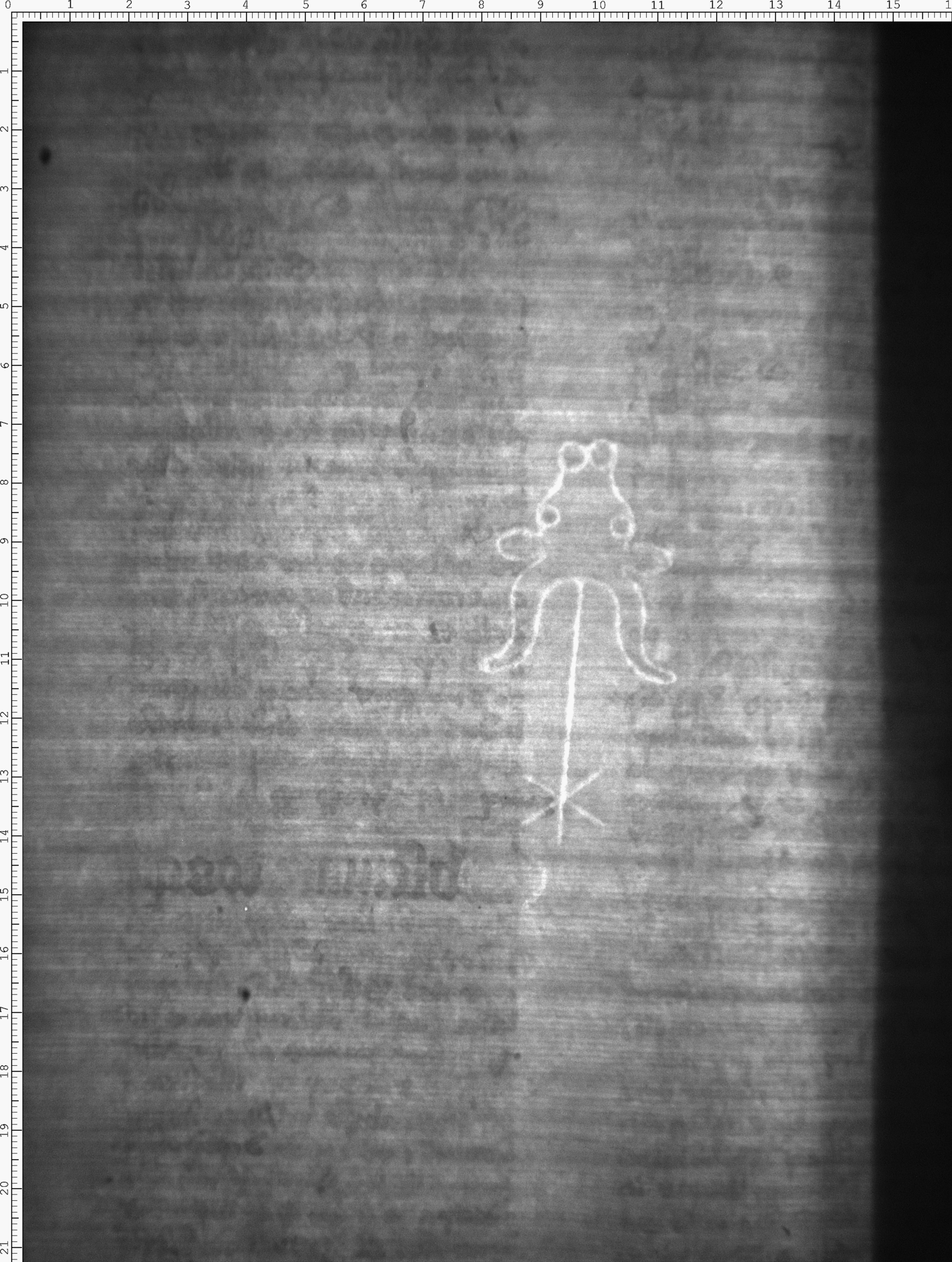 Watermark
