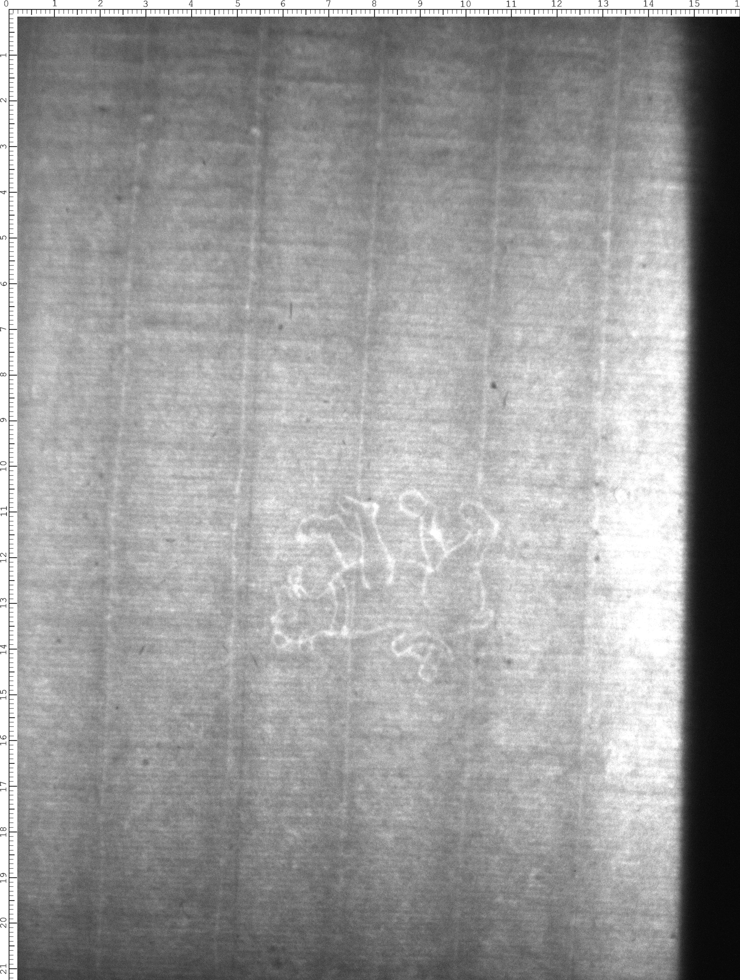 Watermark