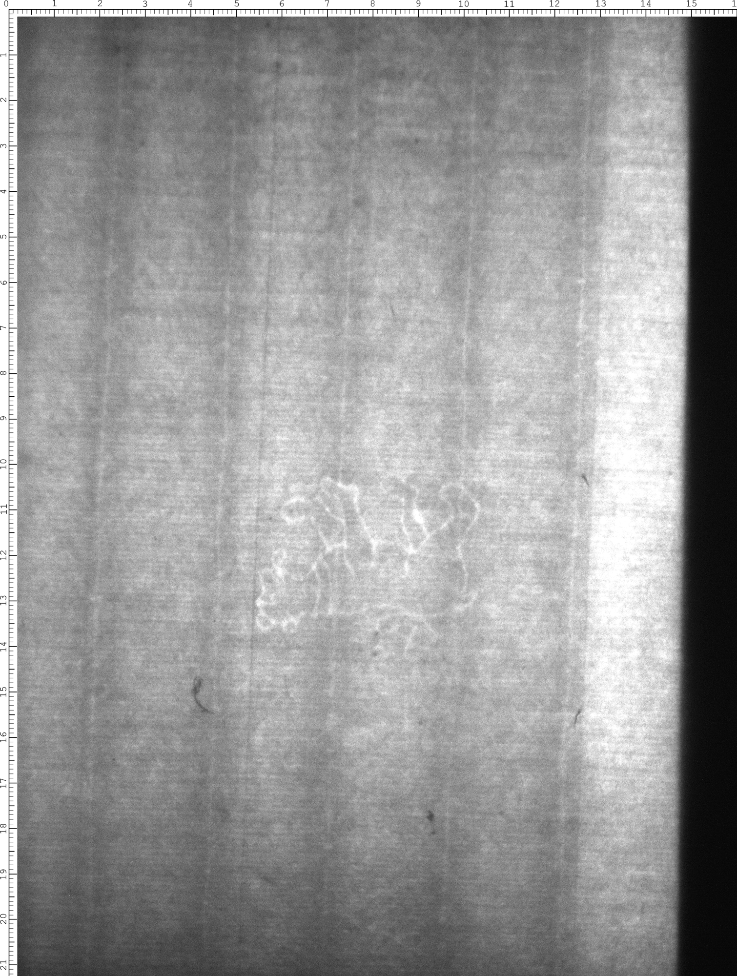 Watermark