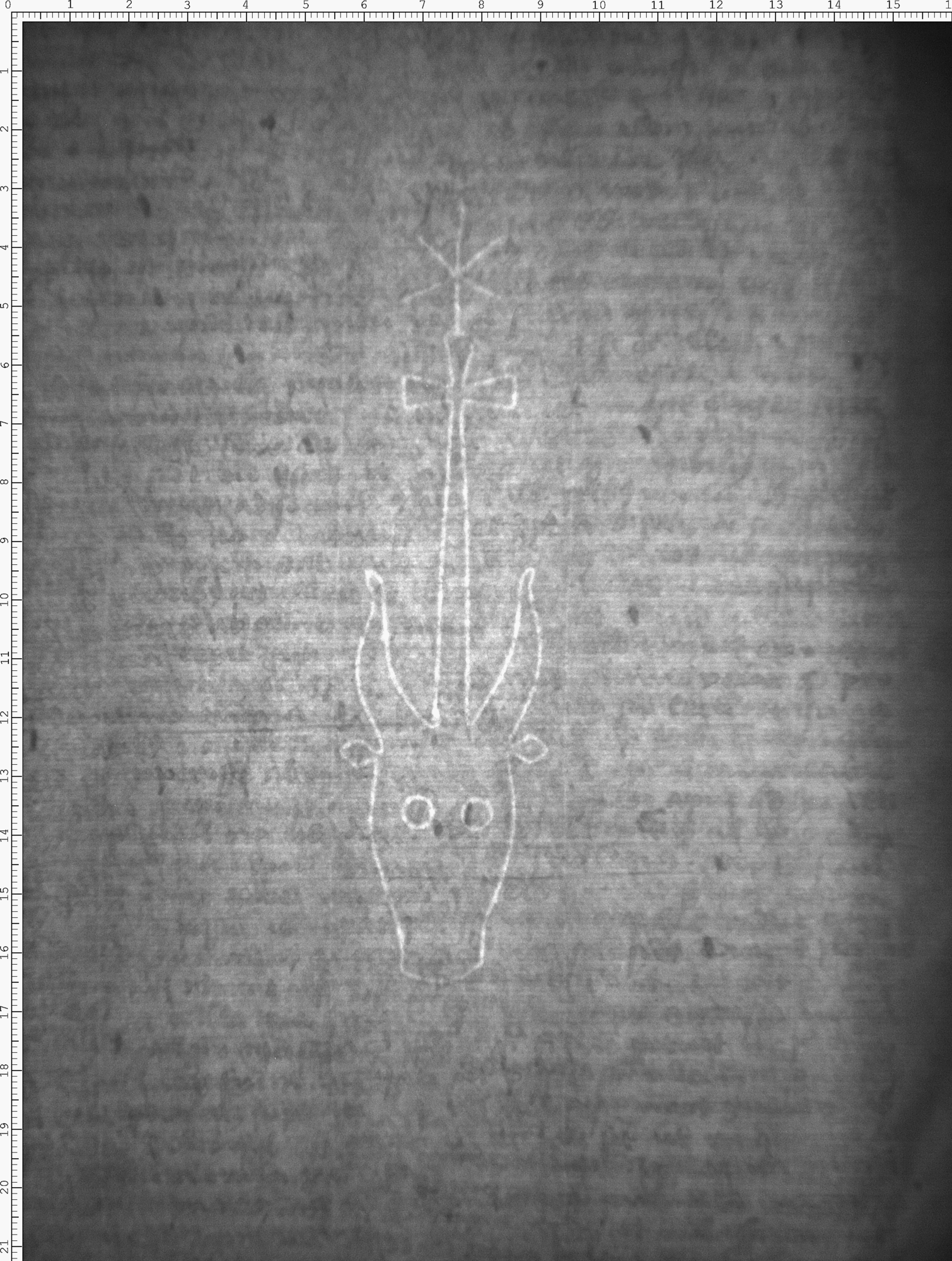 Watermark
