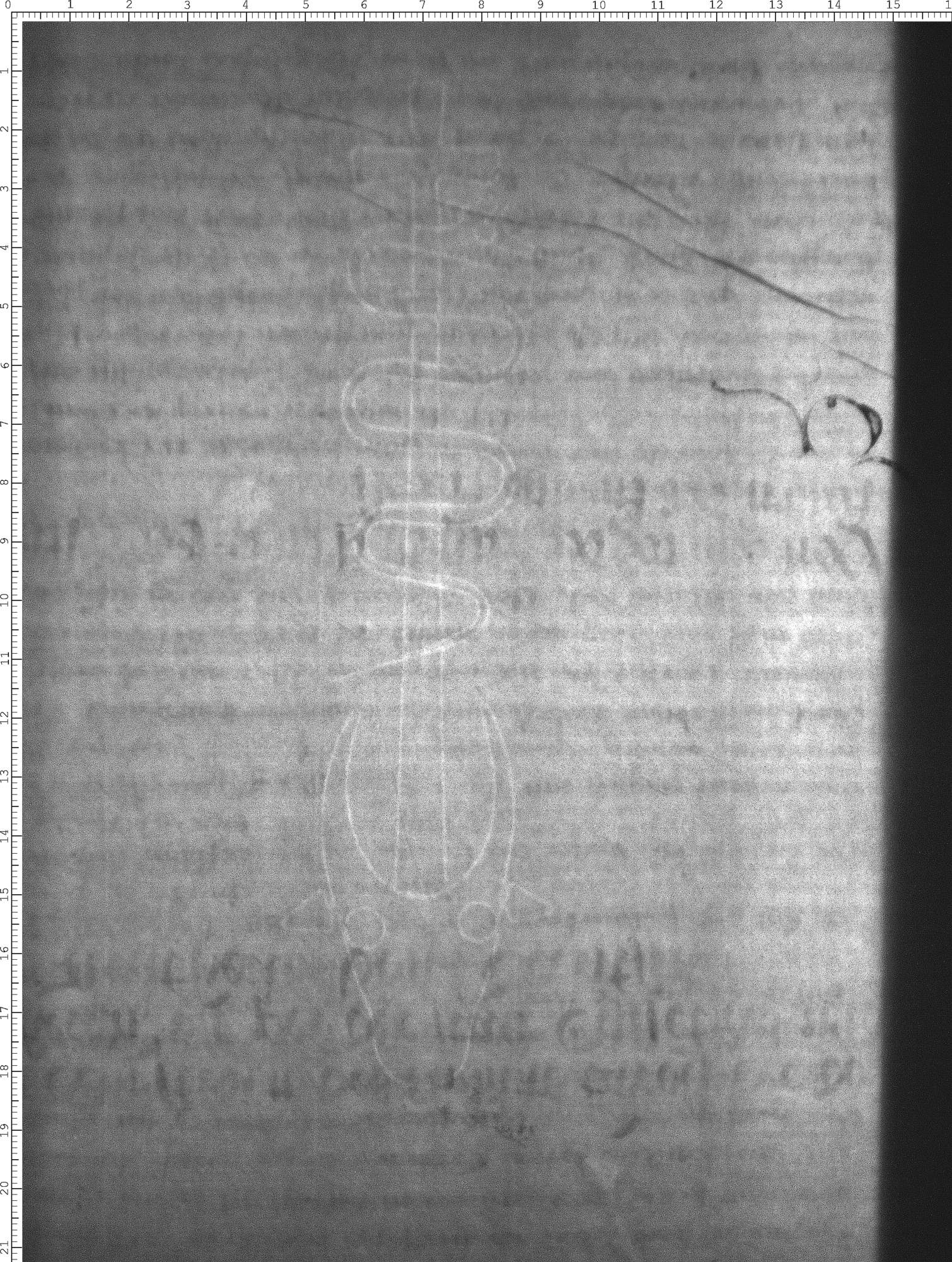 Watermark