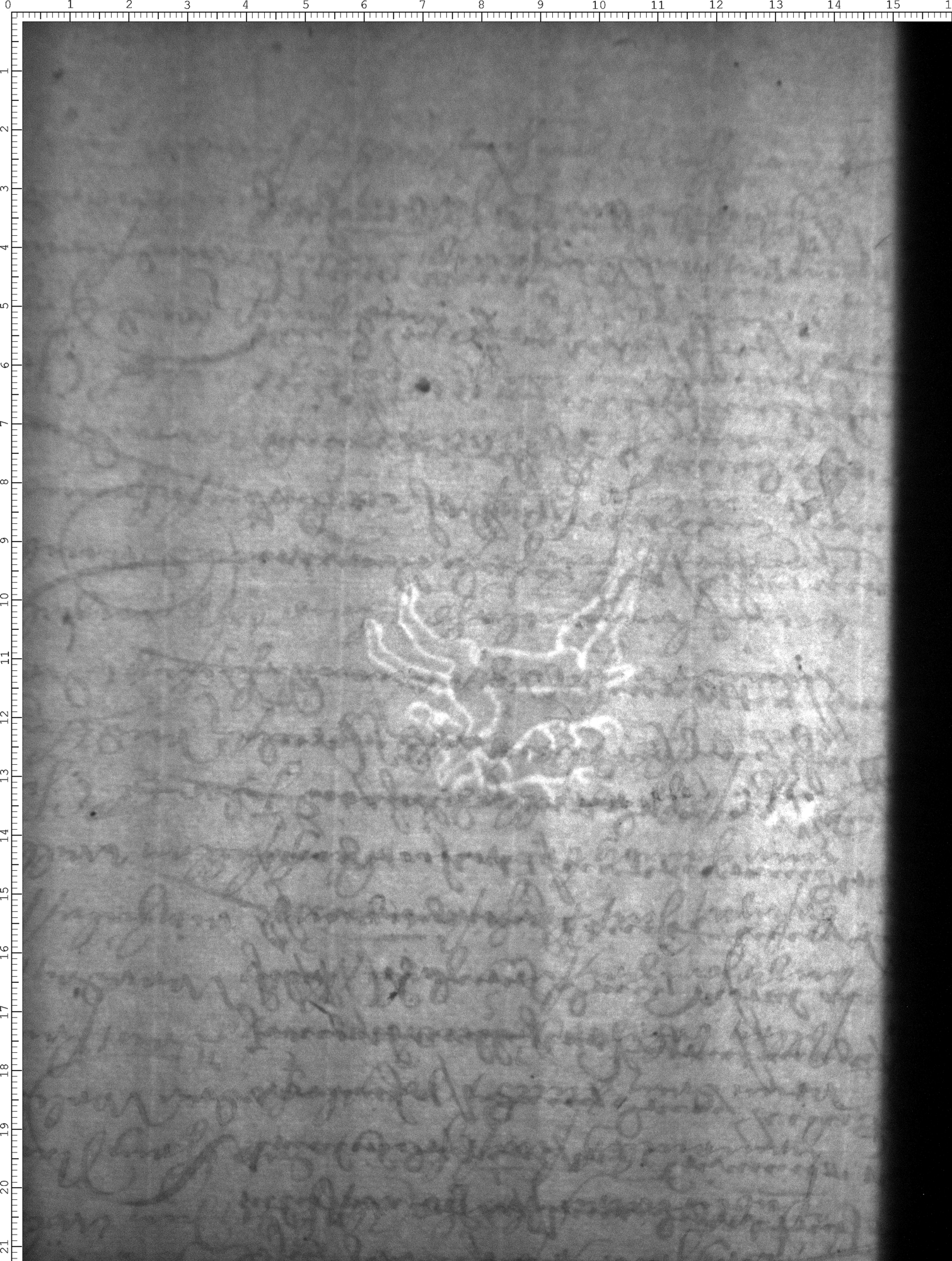 Watermark