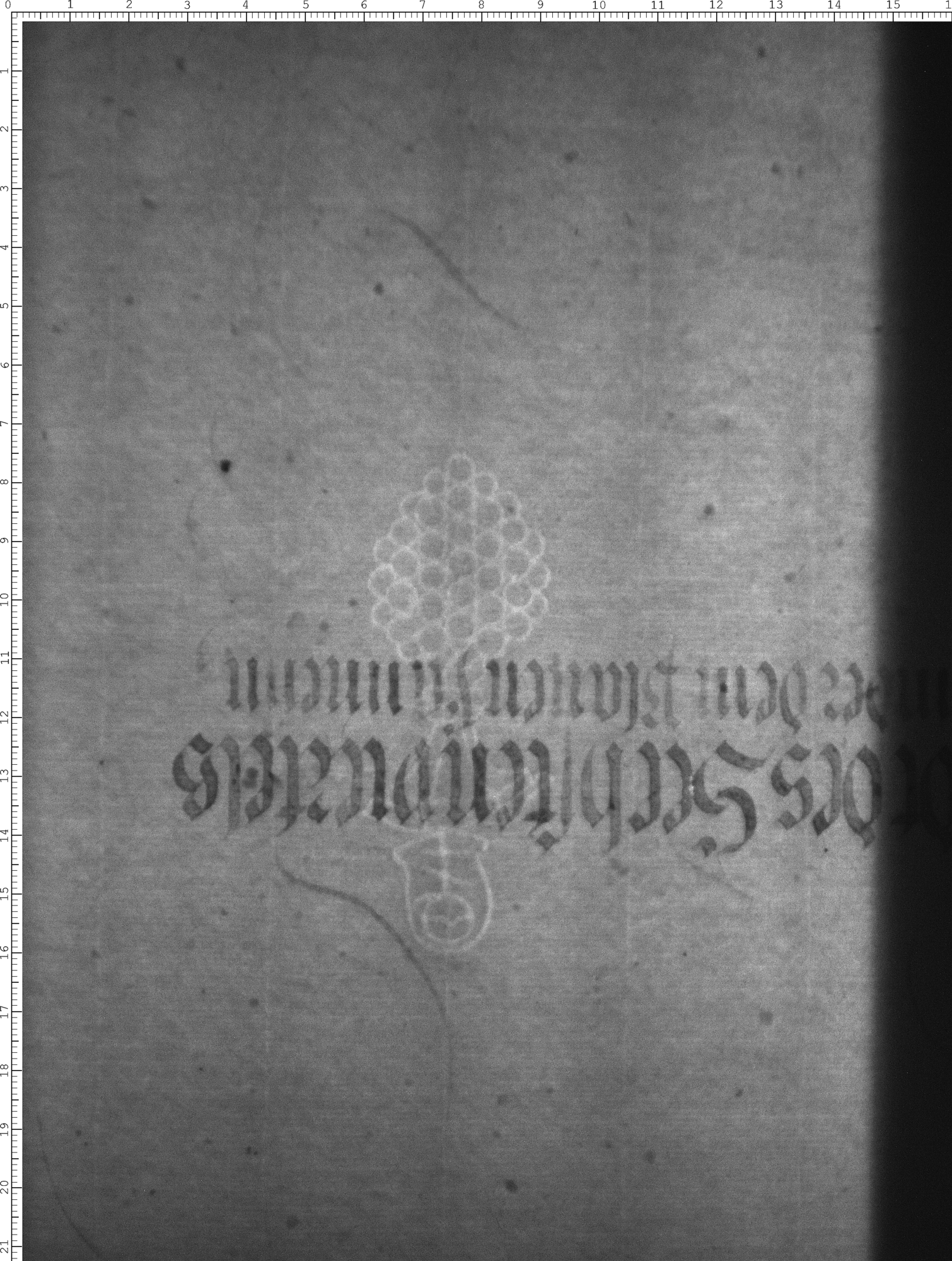 Watermark