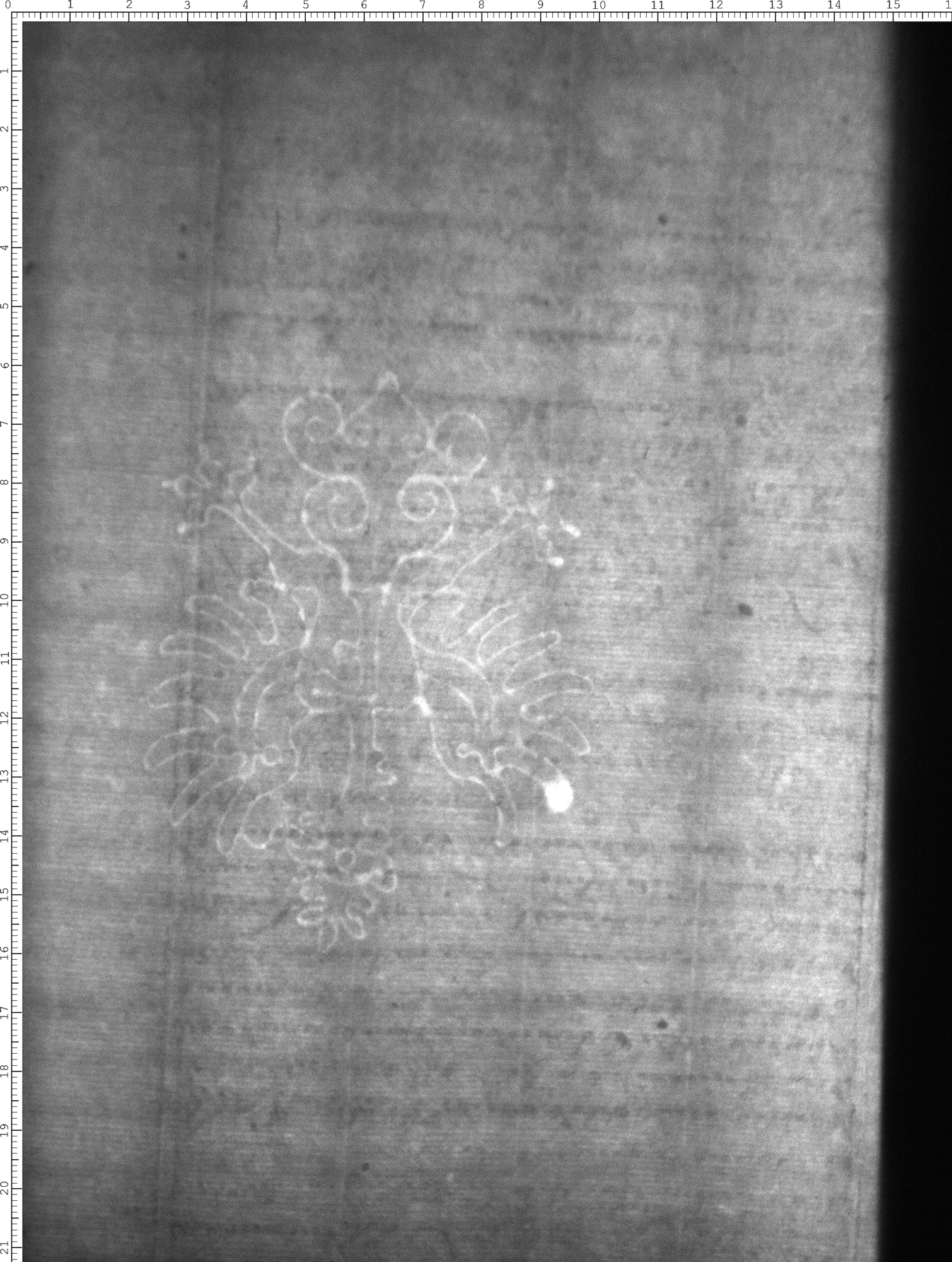 Watermark