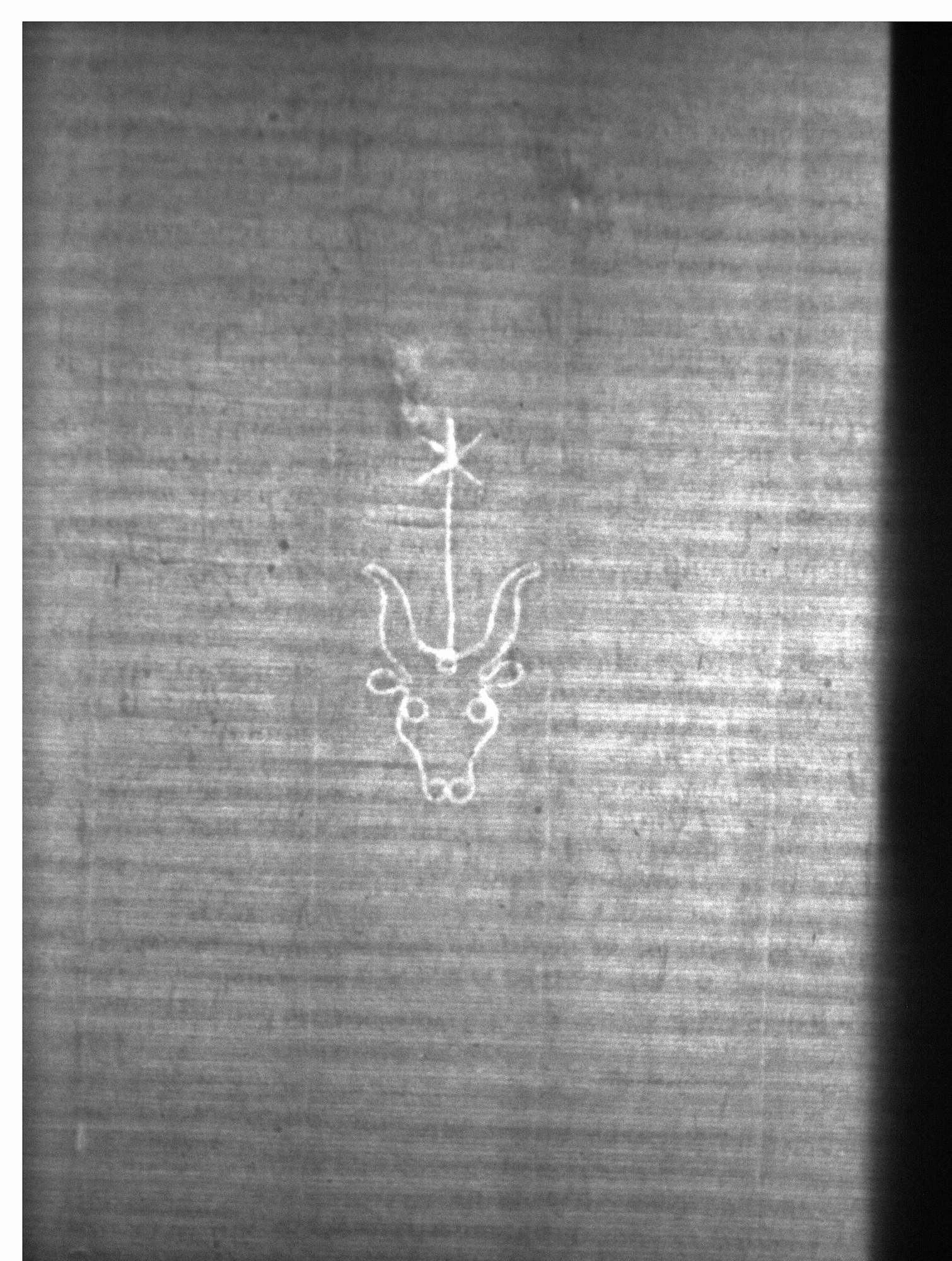 Watermark