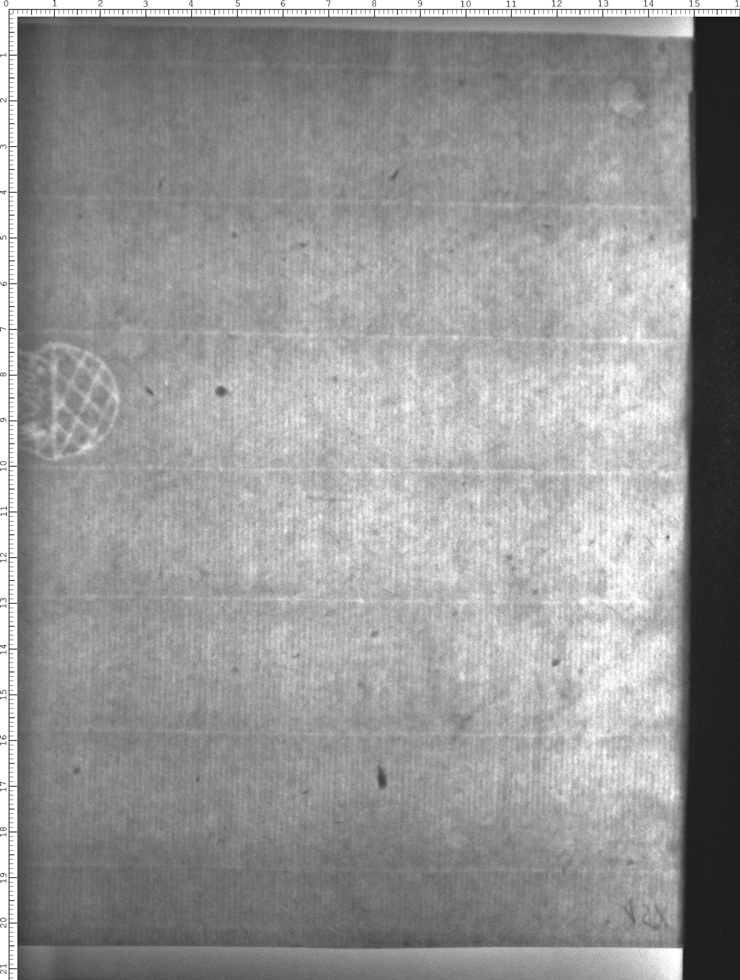 Watermark