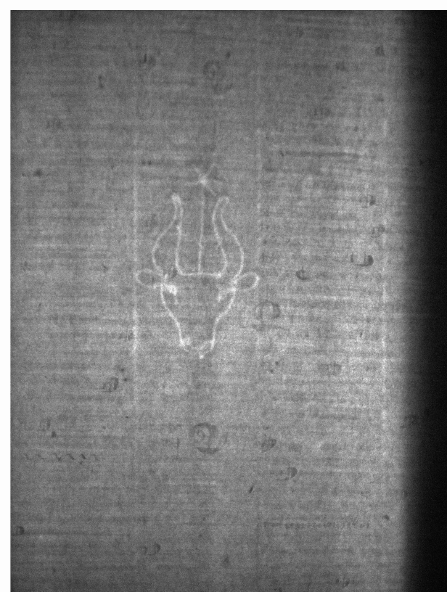 Watermark