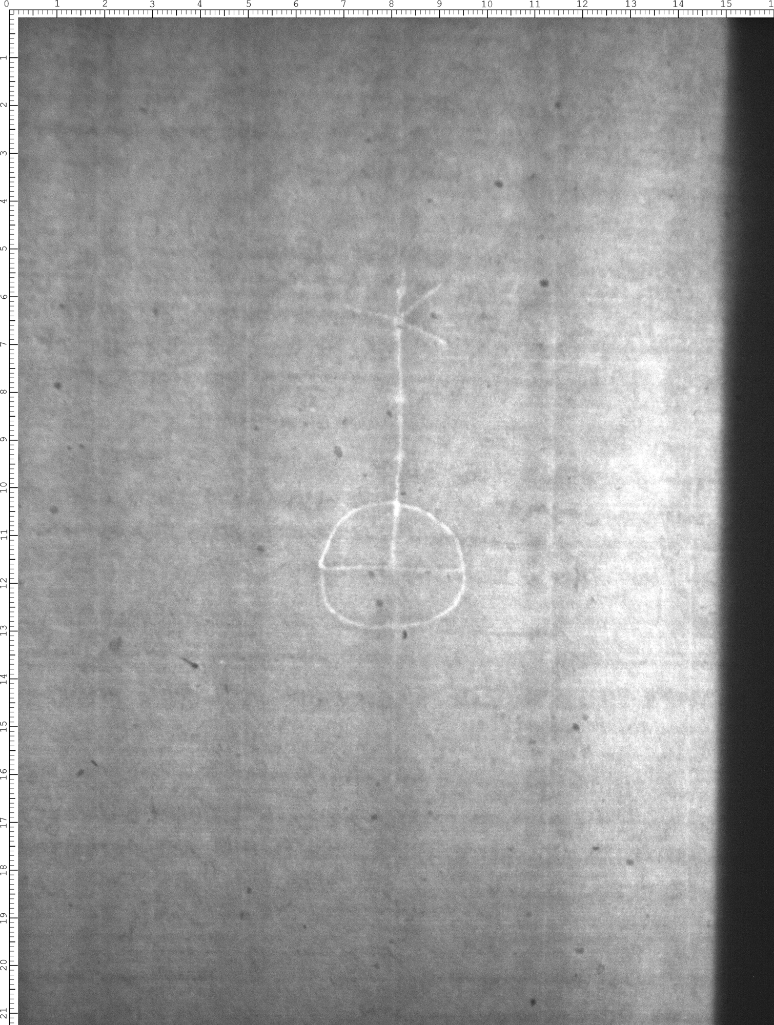 Watermark