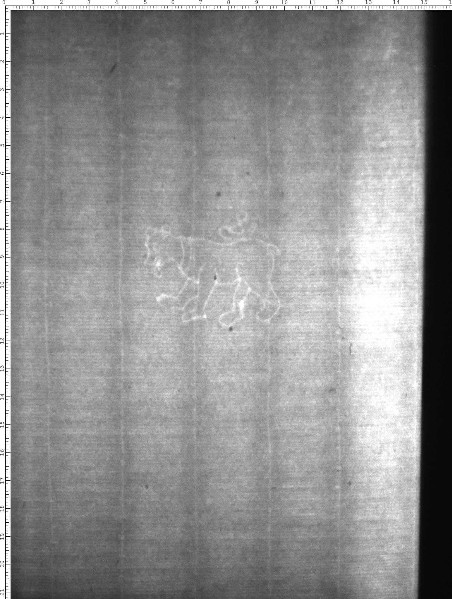 Watermark