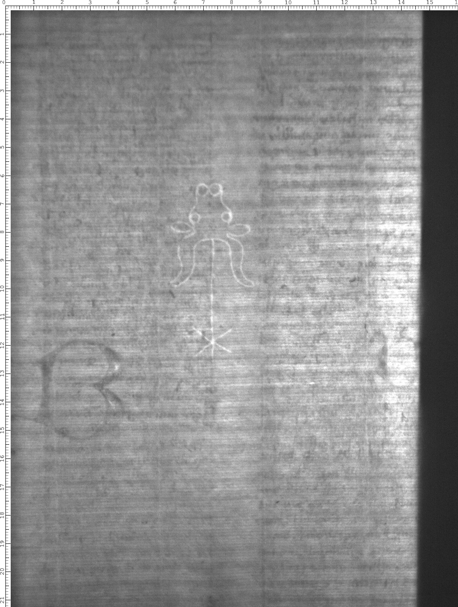 Watermark