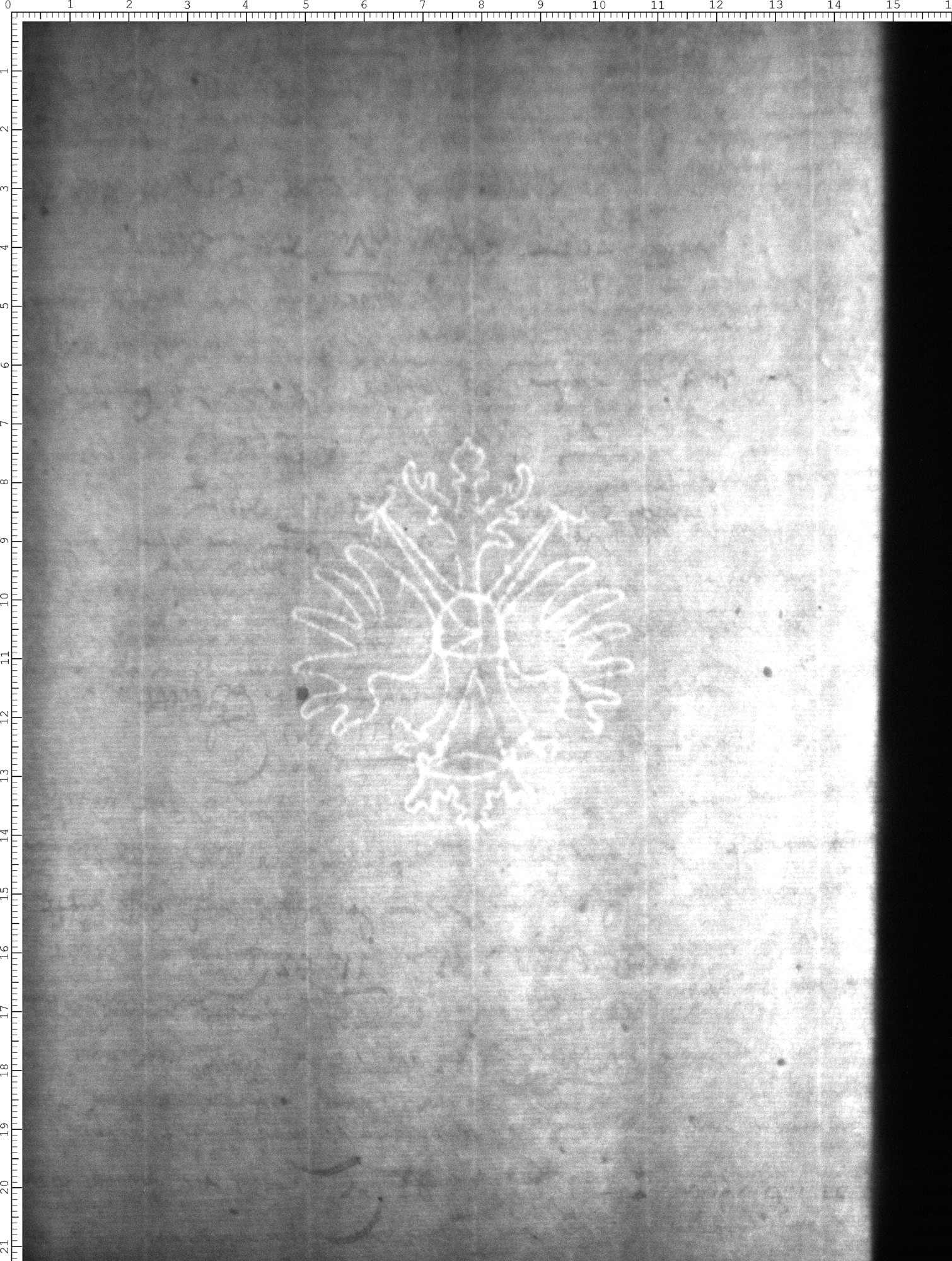 Watermark